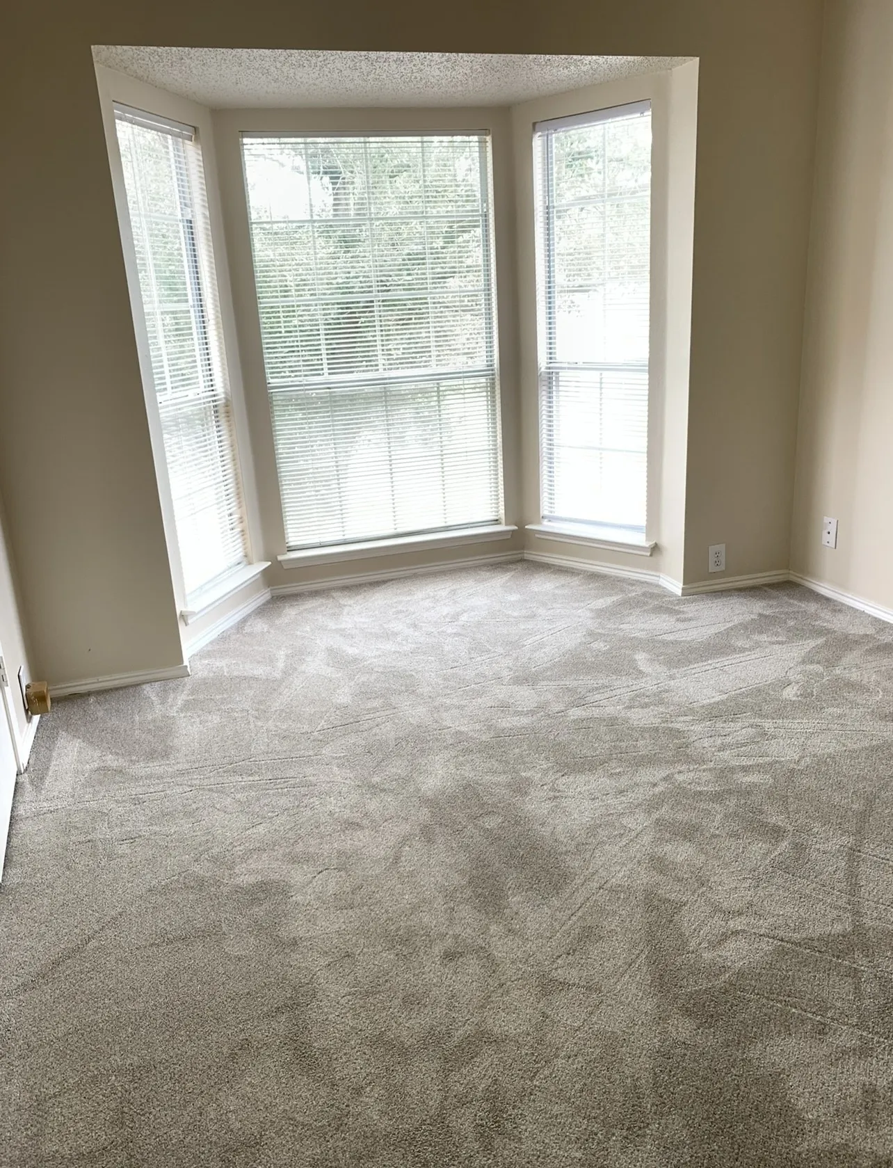 Single Family Residence For Rent in Tarrant County , 205 Branch Bend, Euless, Texas 76039, 3 Bedroom, 3 Bathroom, 2 Garage spaces, 1,924 Sqft, built in 1993, mls#21408688, Real Estate Agent in Euless, Homes For Rent in Tarrant county, Homes For Rent in Euless, Realtor in Euless Texas, Real Estate Brokerage Independent Realty Texas, Luminita Cordes Realtor