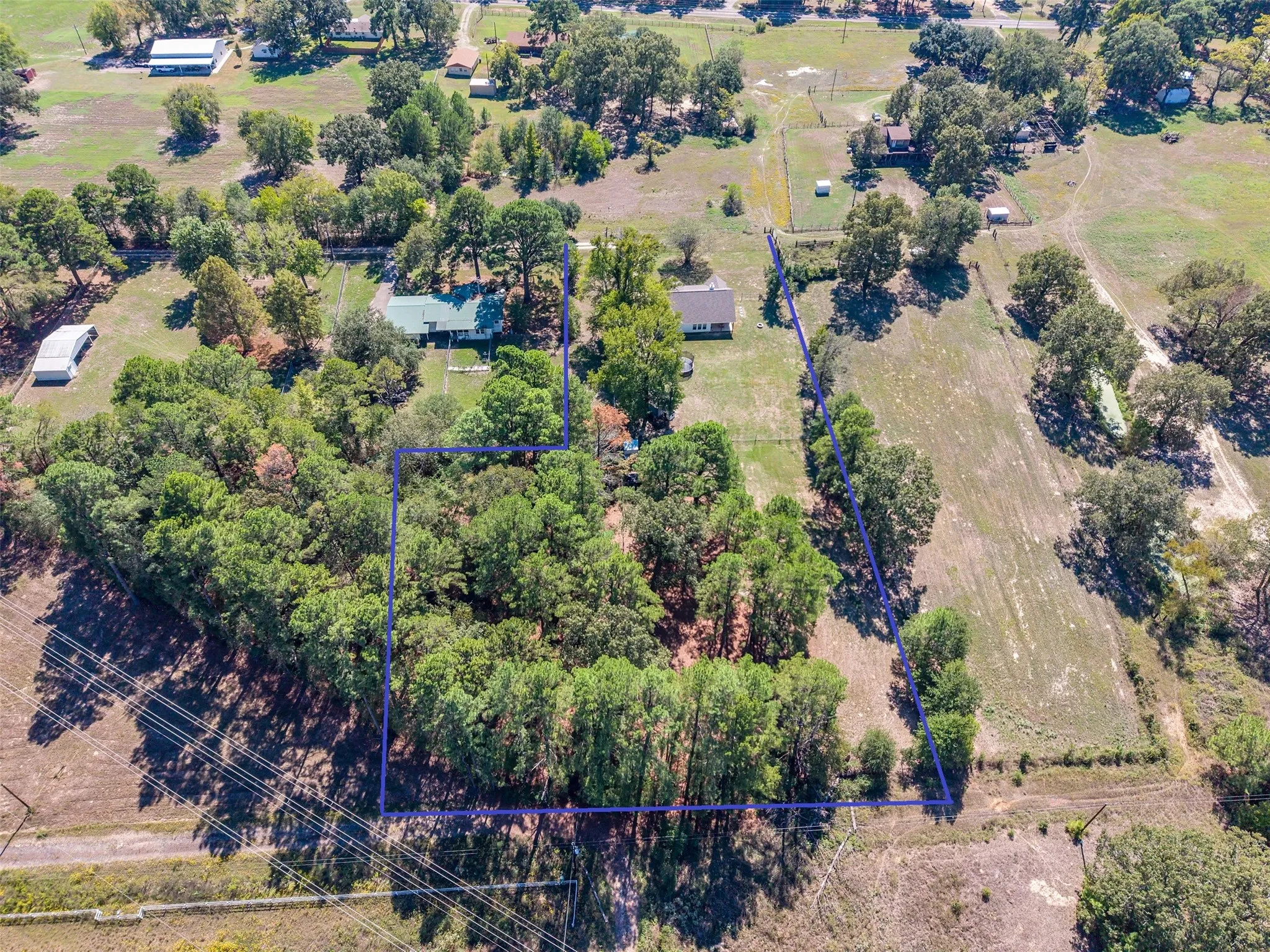 Expansive property featuring a mix of mature trees and open land, offering diverse landscape possibilities