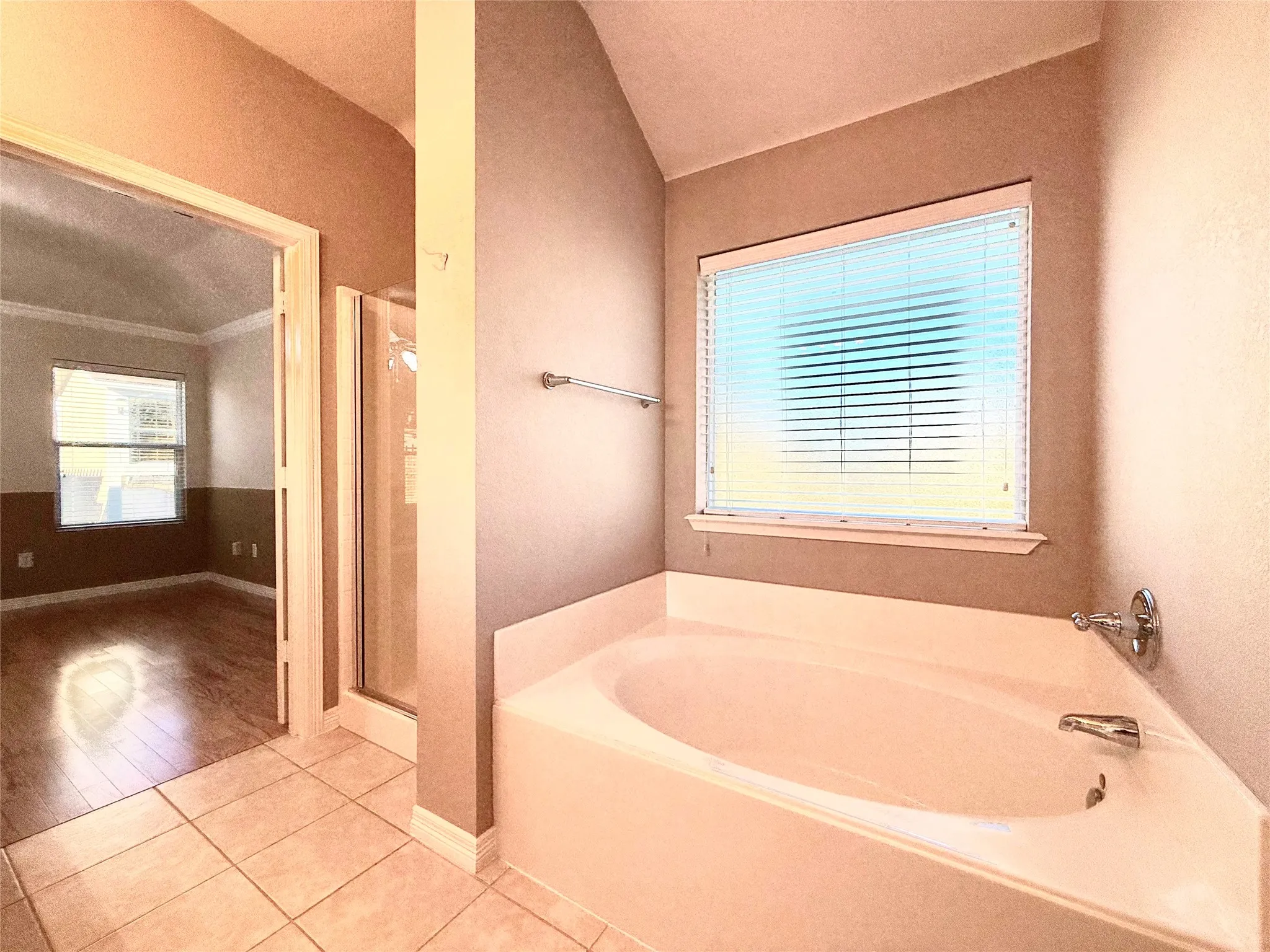Primary bathroom with garden tub and a separate shower