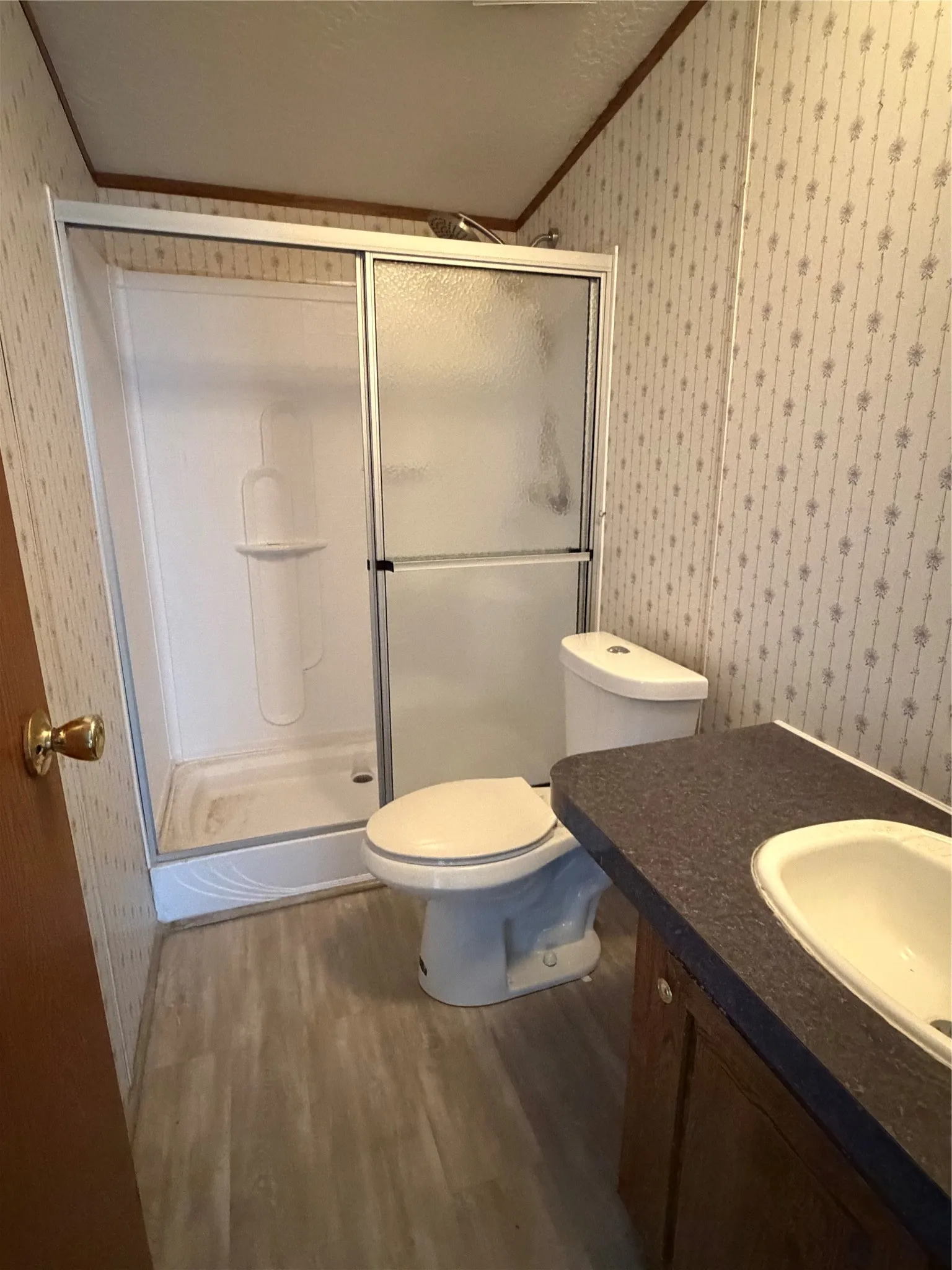 Mobile Home For Sale in Johnson County , 8453 County Road 1206, Rio Vista, Texas 76093, 3 Bedroom, 2 Bathroom, Garage spaces, 1,728 Sqft, built in 1992, mls#21396327, Real Estate Agent in Rio Vista, Homes For Sale in Johnson county, Homes For Sale in Rio Vista, Realtor in Rio Vista Texas, Real Estate Brokerage Independent Realty Texas, Luminita Cordes Realtor