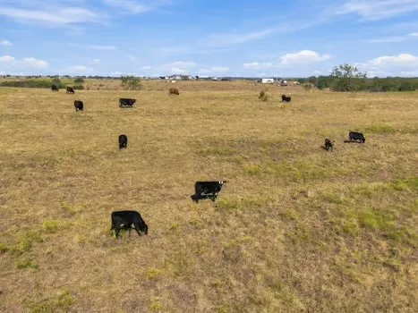 Unimproved Land For Sale in Hill County , 1203 H.C.R 3220, Penelope, Texas 76676, 0, 0, Garage spaces, 0 Sqft, built in 0, mls#21407201, Real Estate Agent in Penelope, Homes For Sale in Hill county, Homes For Sale in Penelope, Realtor in Penelope Texas, Real Estate Brokerage Independent Realty Texas, Luminita Cordes Realtor
