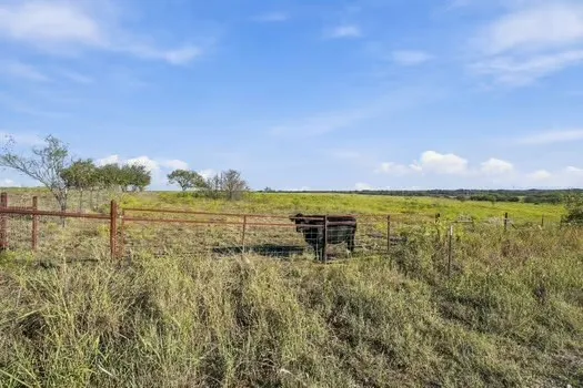 Unimproved Land For Sale in Hill County , 1203 H.C.R 3220, Penelope, Texas 76676, 0, 0, Garage spaces, 0 Sqft, built in 0, mls#21407201, Real Estate Agent in Penelope, Homes For Sale in Hill county, Homes For Sale in Penelope, Realtor in Penelope Texas, Real Estate Brokerage Independent Realty Texas, Luminita Cordes Realtor