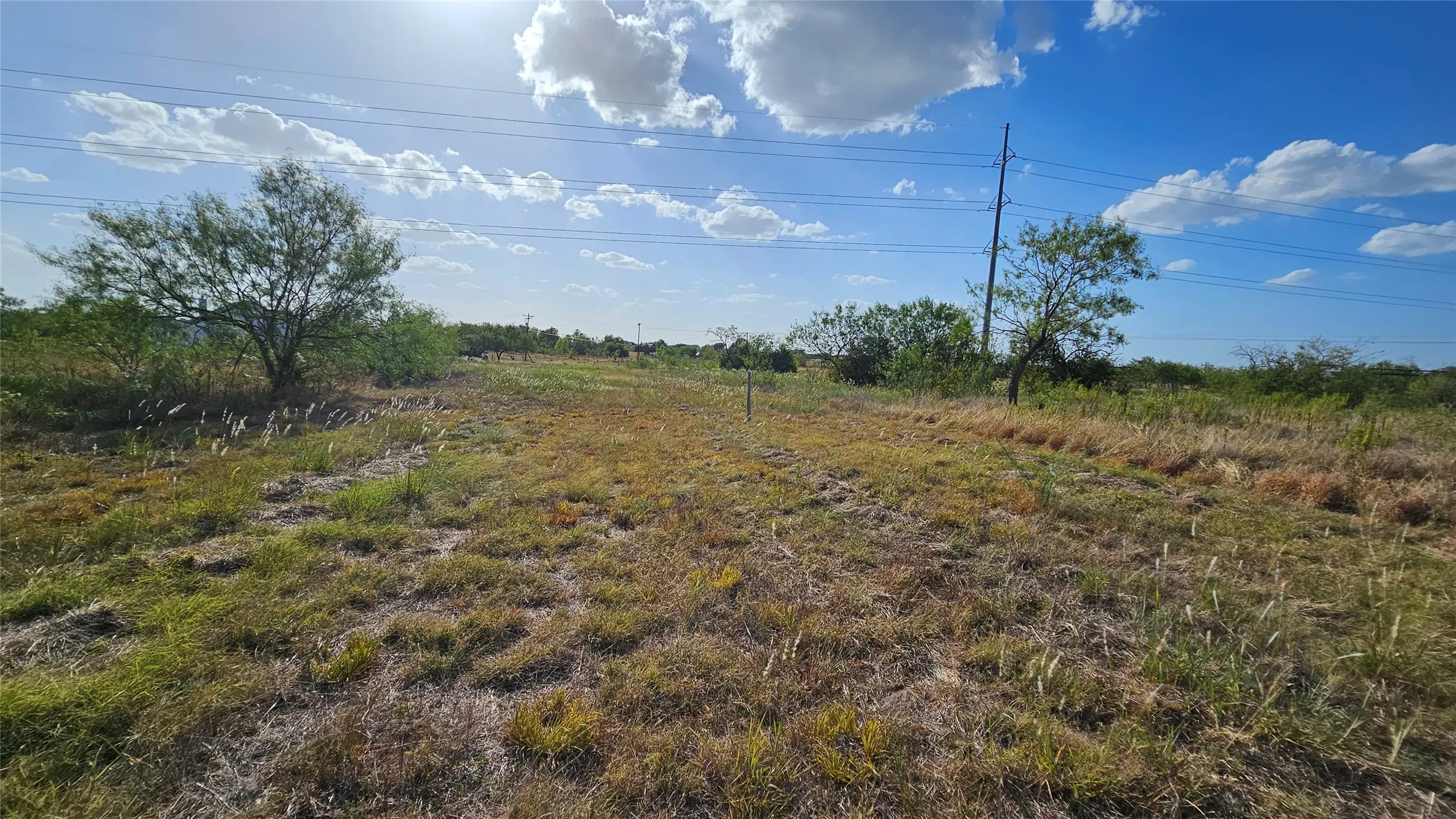 Yard view looking south; electric lines do not cross the property.