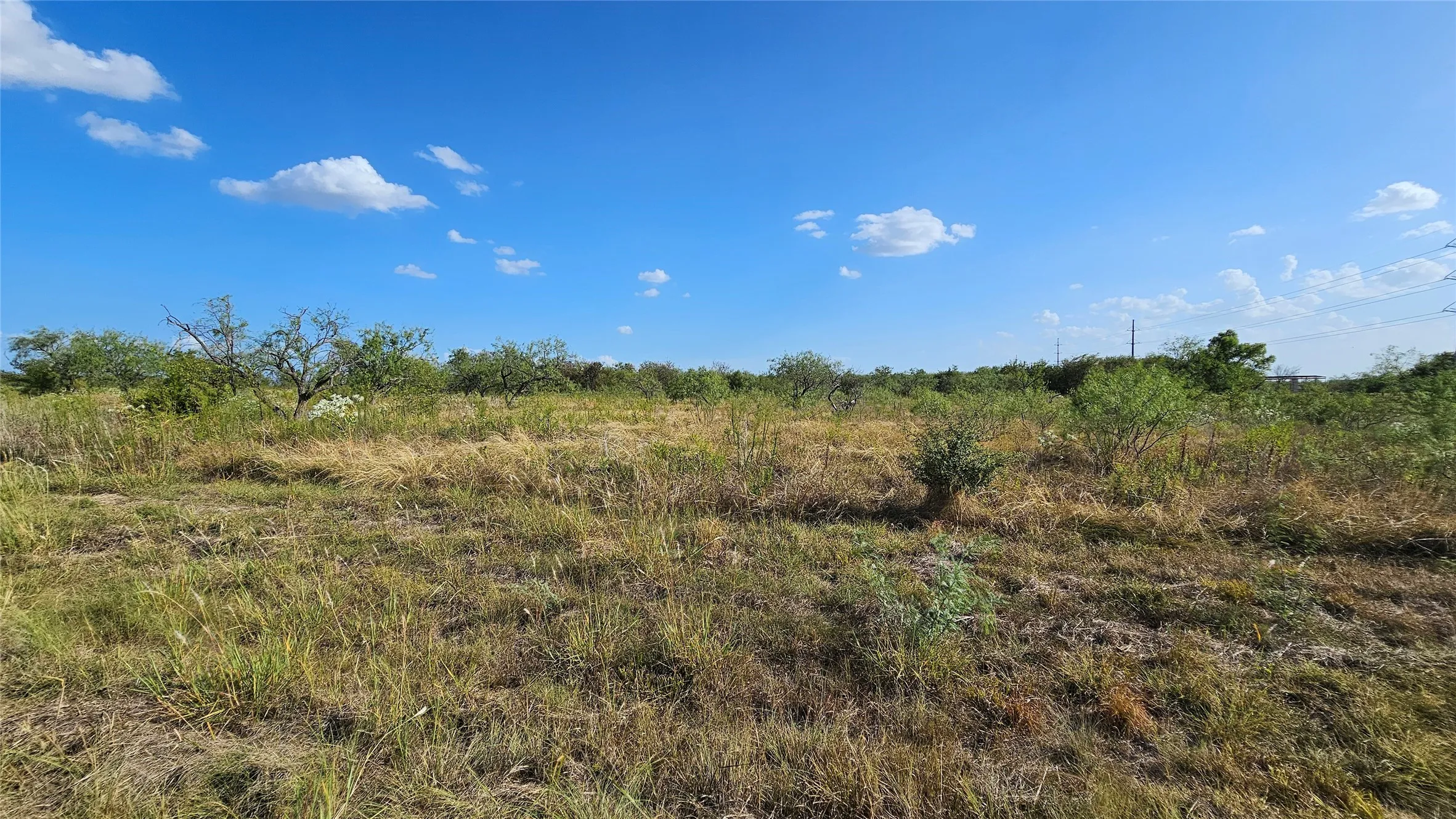 Expansive open lot featuring natural groundcover and scattered mature trees looking toward southeast.