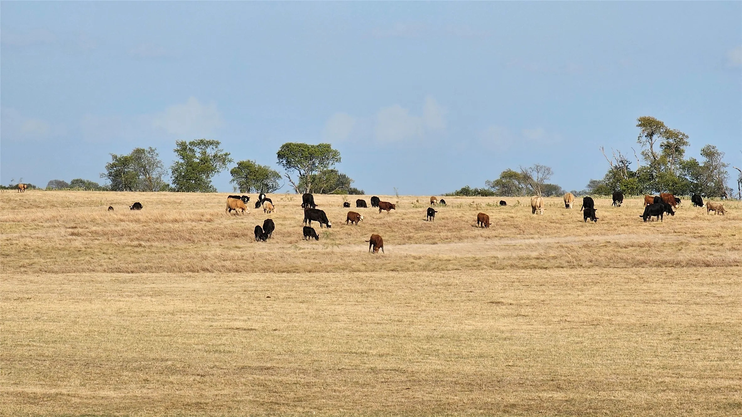 Sample scene in the area showing country-living lifestyle.