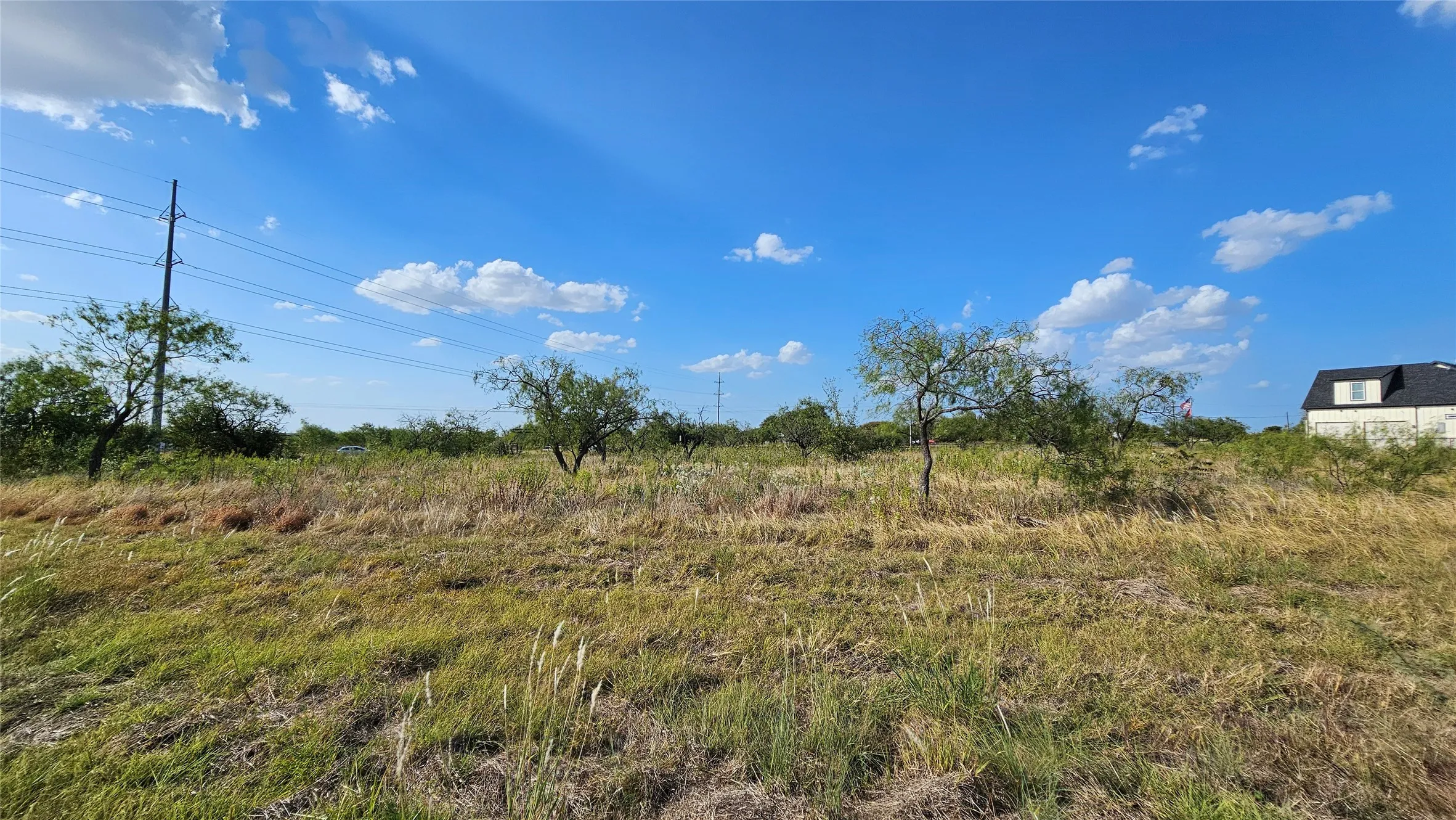 Expansive open land with scattered mature trees and natural vegetation