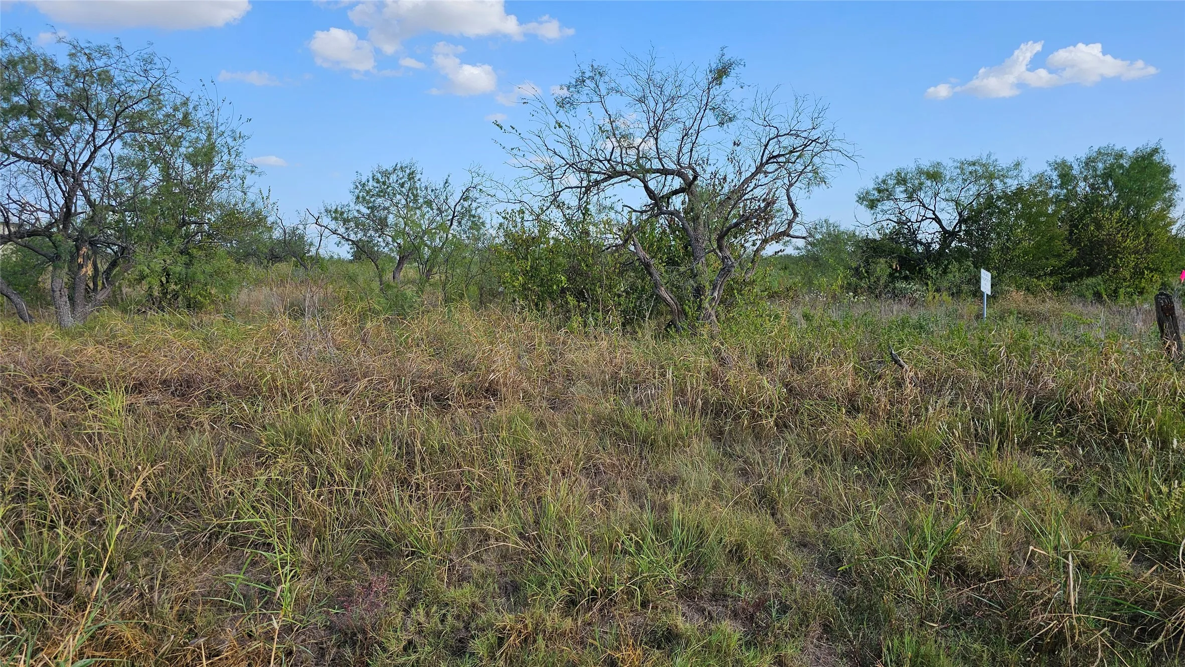 View from the road looking at the center of the acreage.