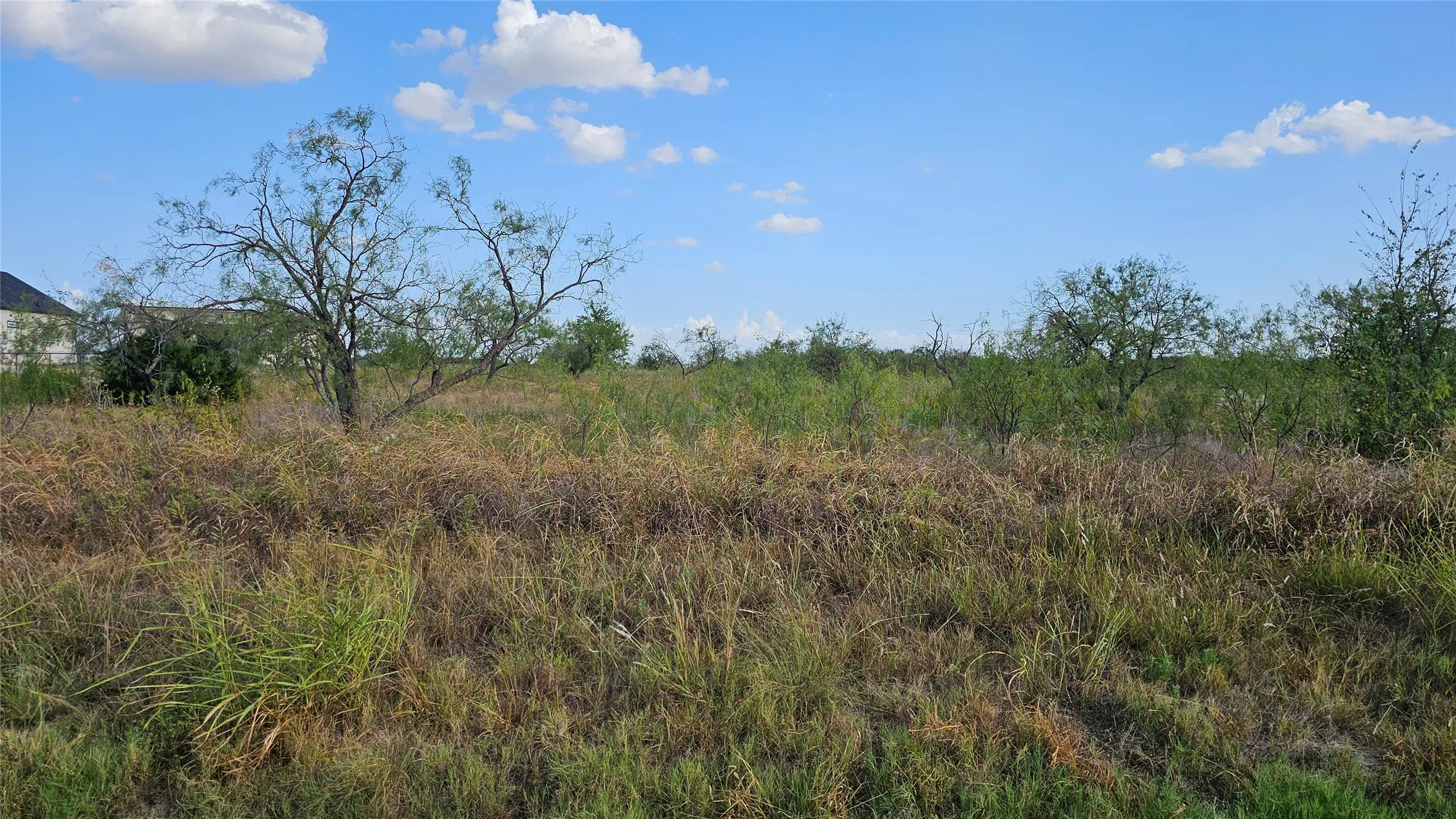 Expansive undeveloped lot featuring natural vegetation looking toward east.