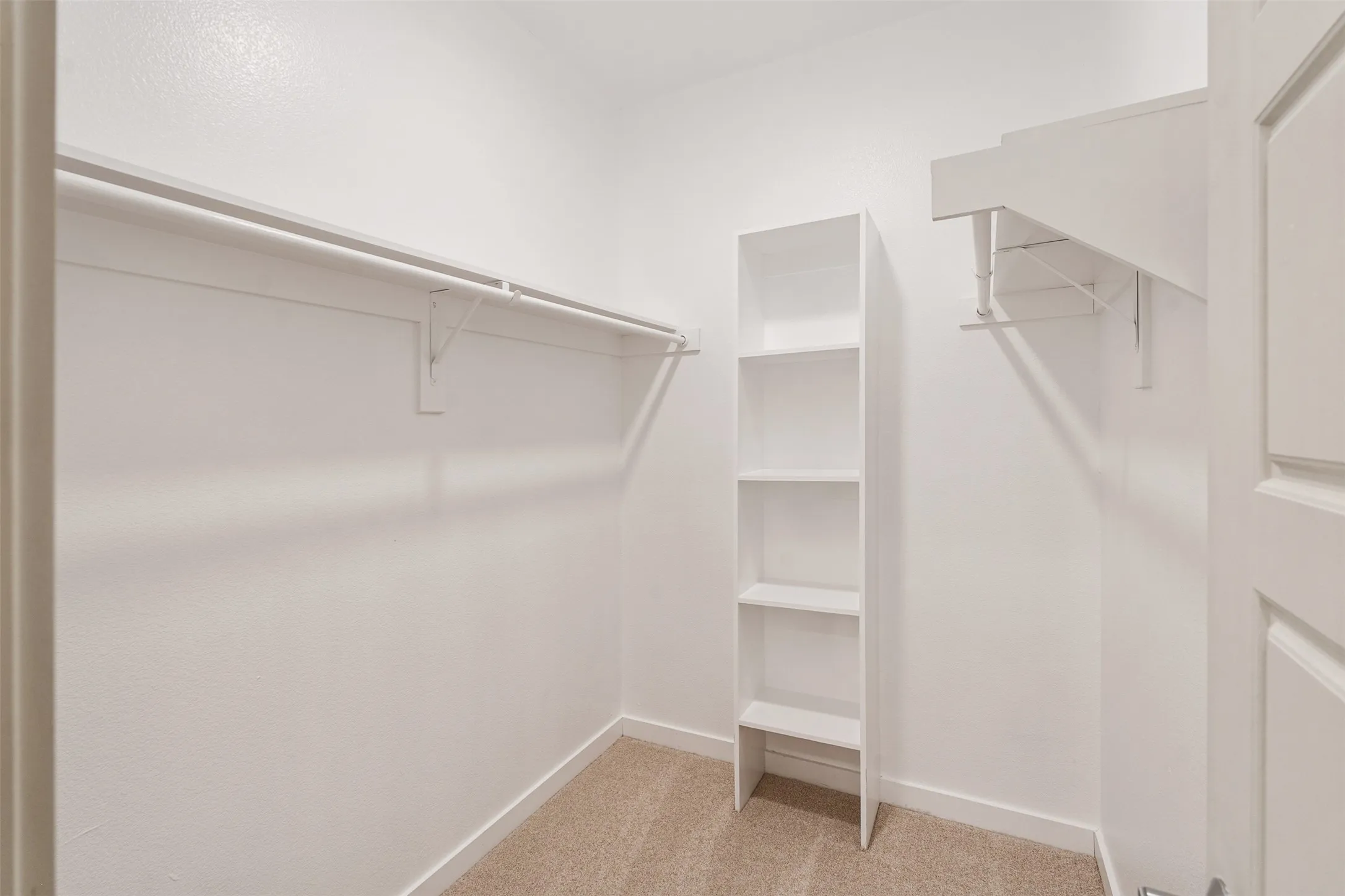 Walk-in closet featuring carpet flooring, built-in shelving, and multiple hanging rods