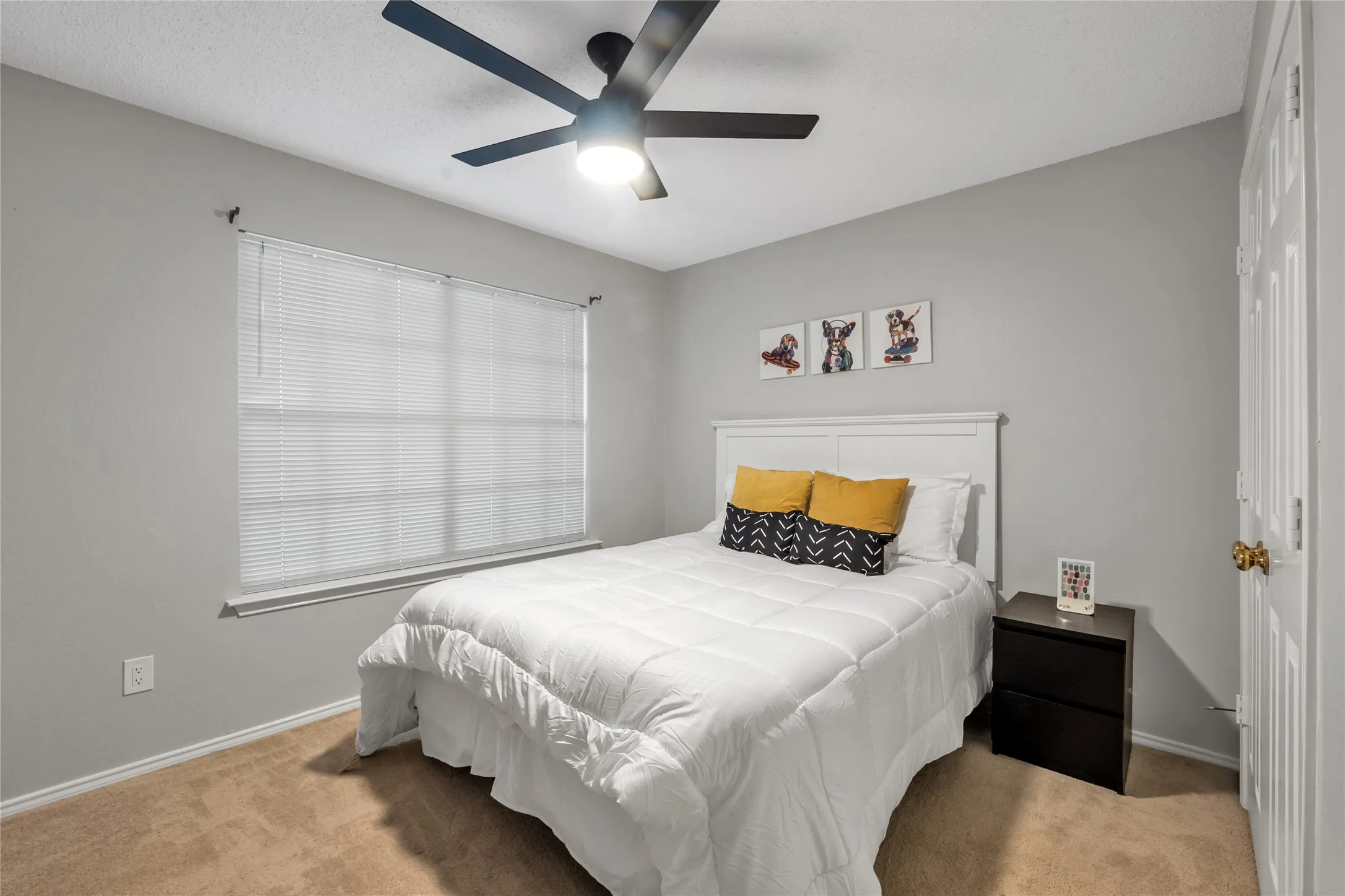 Neutral wall paint, ceiling fan, window with blinds, carpeted flooring, and a white paneled door