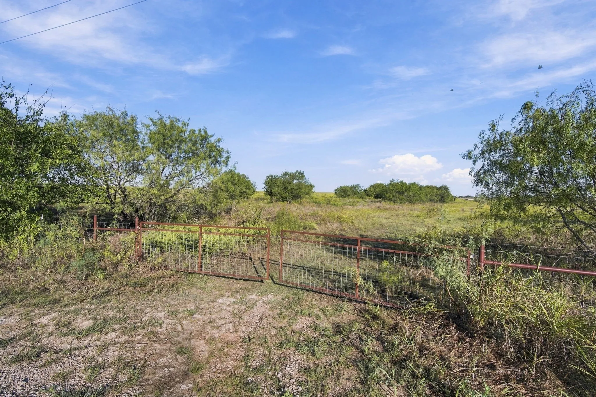 Unimproved Land For Sale in Hill County , 1151 HCR 3220, Penelope, Texas 76676, 0, 0, Garage spaces, 0 Sqft, built in 0, mls#21407197, Real Estate Agent in Penelope, Homes For Sale in Hill county, Homes For Sale in Penelope, Realtor in Penelope Texas, Real Estate Brokerage Independent Realty Texas, Luminita Cordes Realtor