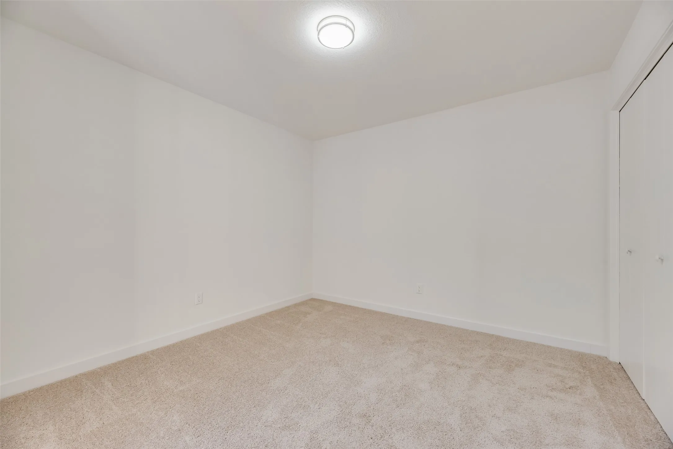 Neutral-toned carpeting, white walls, and a flush-mount ceiling light