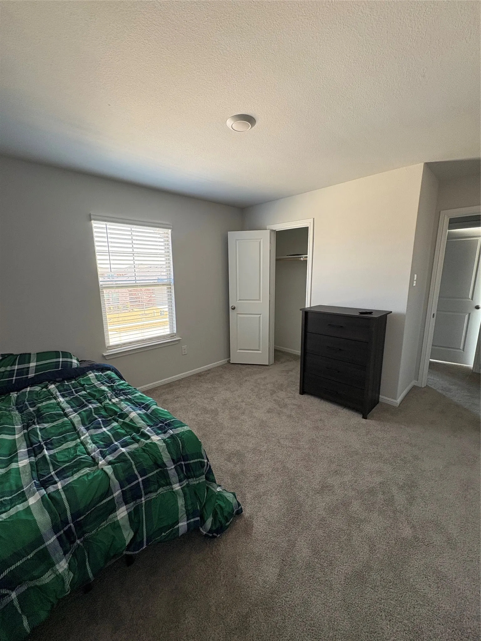 Plush carpeting, window with blinds, recessed lighting, and a closet with a white door