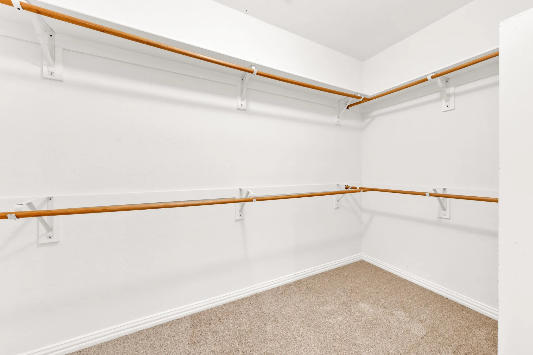 Corner walk-in closet with carpet flooring, white walls, and wood-finish hanging rods