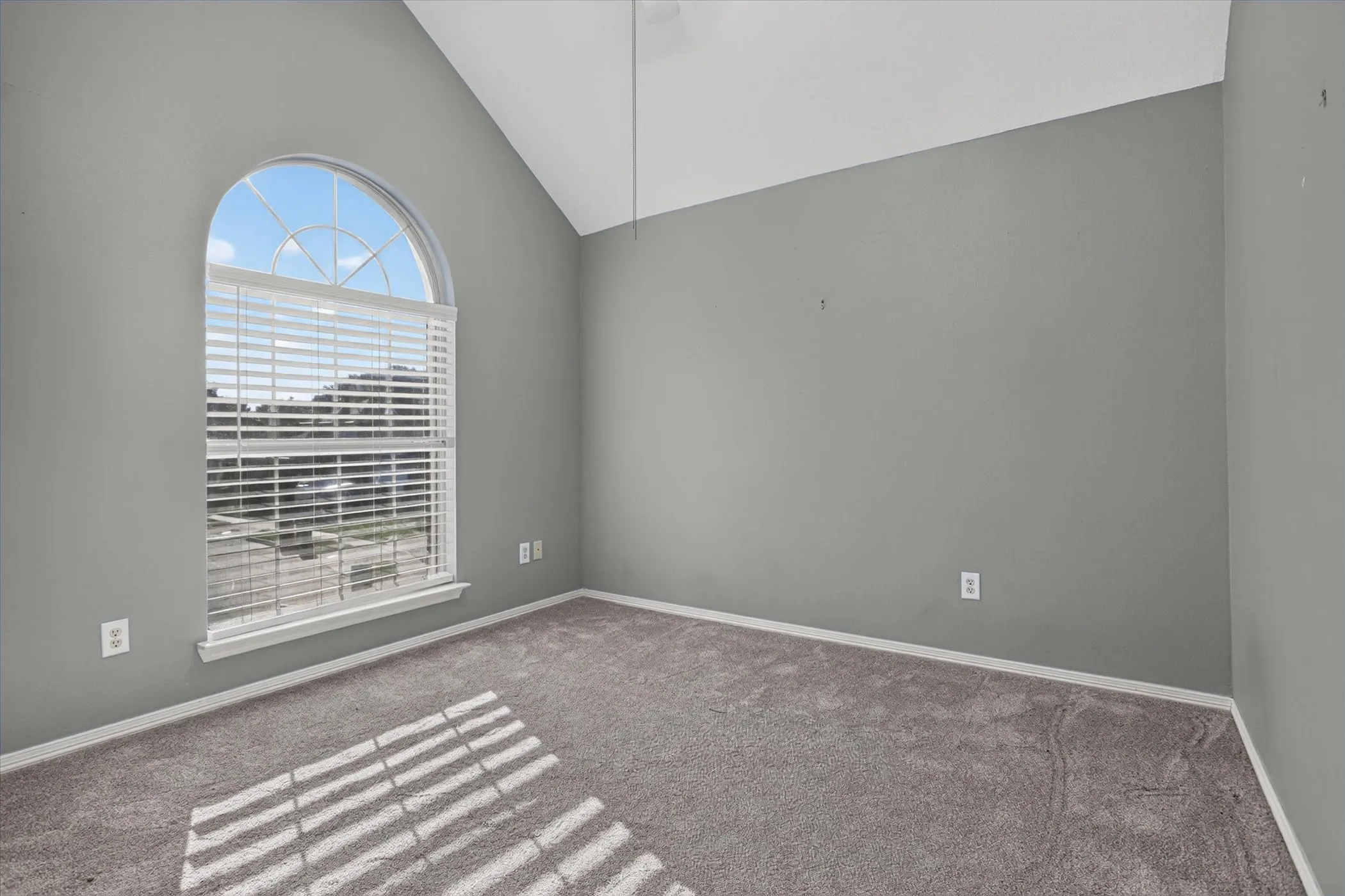 Vaulted ceiling, arched window with divided lites, and neutral carpeting
