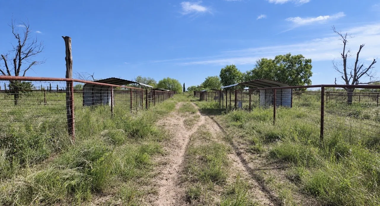 Unimproved Land For Sale in San Saba County , 0 Hwy 190, Richland Springs, Texas 76871, 0, 0, Garage spaces, 0 Sqft, built in 0, mls#21408776, Real Estate Agent in Richland Springs, Homes For Sale in San Saba county, Homes For Sale in Richland Springs, Realtor in Richland Springs Texas, Real Estate Brokerage Independent Realty Texas, Luminita Cordes Realtor