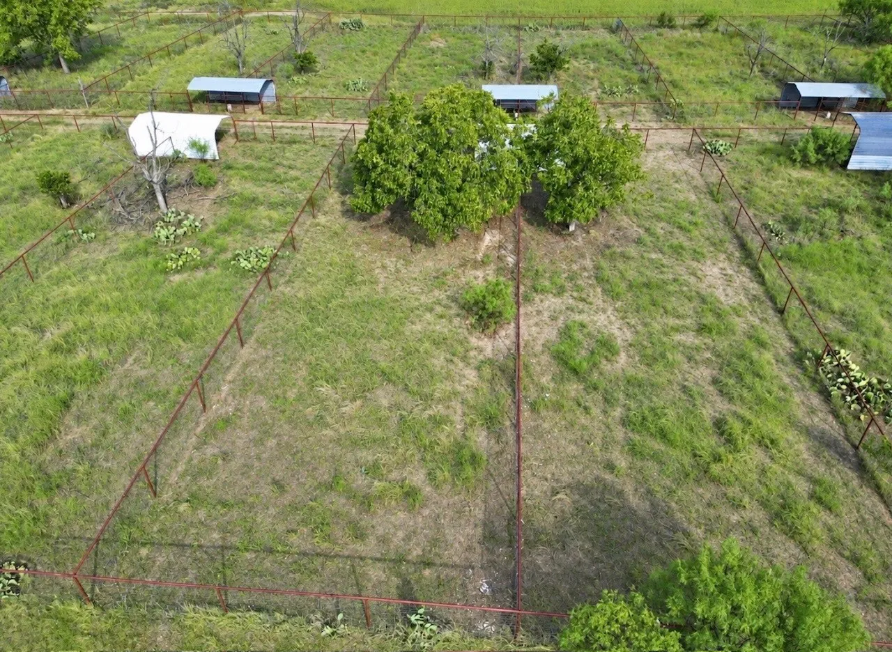 Unimproved Land For Sale in San Saba County , 0 Hwy 190, Richland Springs, Texas 76871, 0, 0, Garage spaces, 0 Sqft, built in 0, mls#21408776, Real Estate Agent in Richland Springs, Homes For Sale in San Saba county, Homes For Sale in Richland Springs, Realtor in Richland Springs Texas, Real Estate Brokerage Independent Realty Texas, Luminita Cordes Realtor