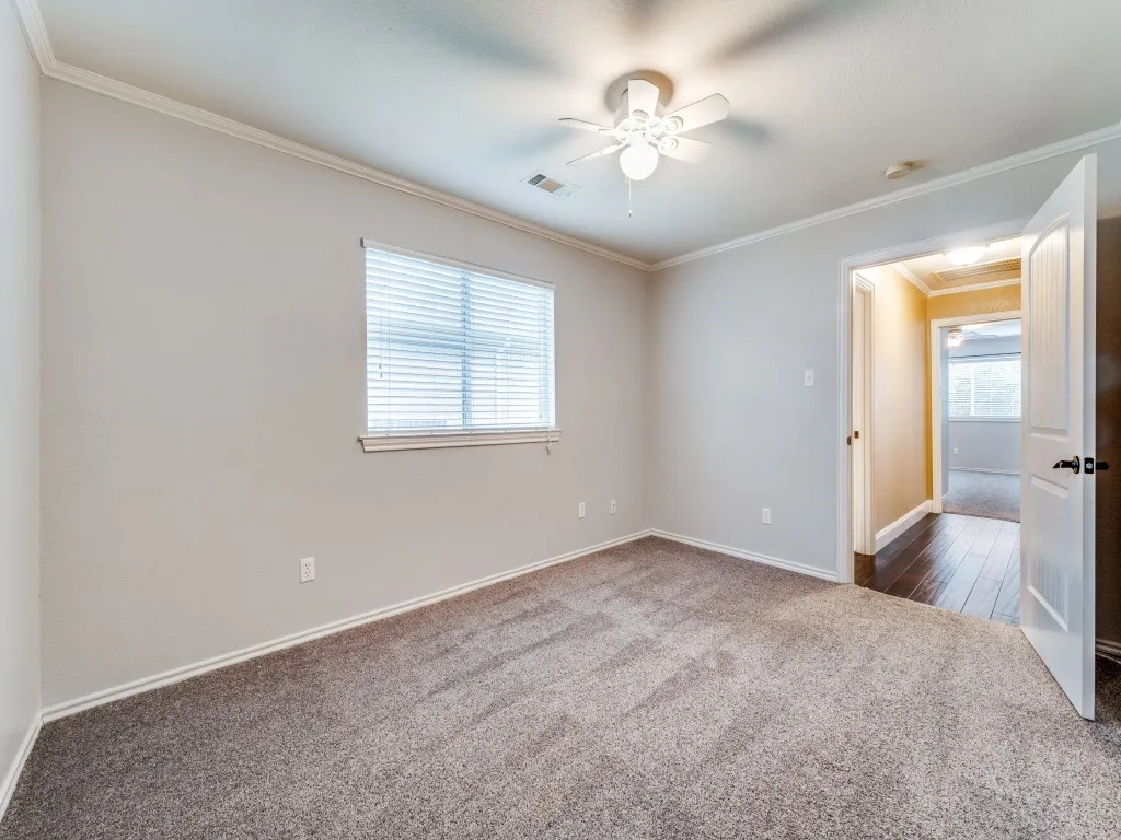 Neutral wall finishes, crown molding, ceiling fan, carpet flooring, and a large window with blinds