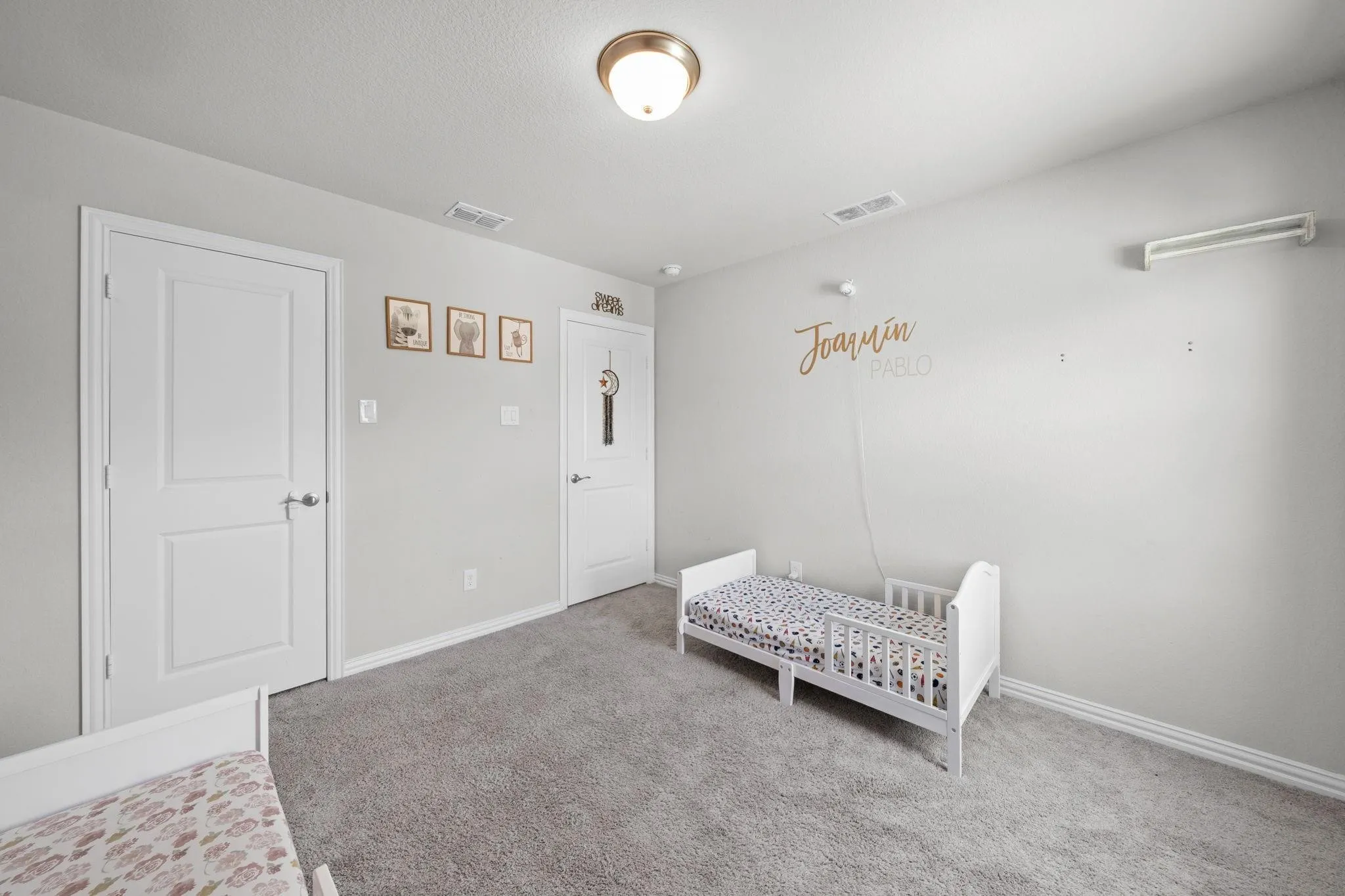Neutral gray wall paint, light gray carpeting, white trim, and white two-panel doors