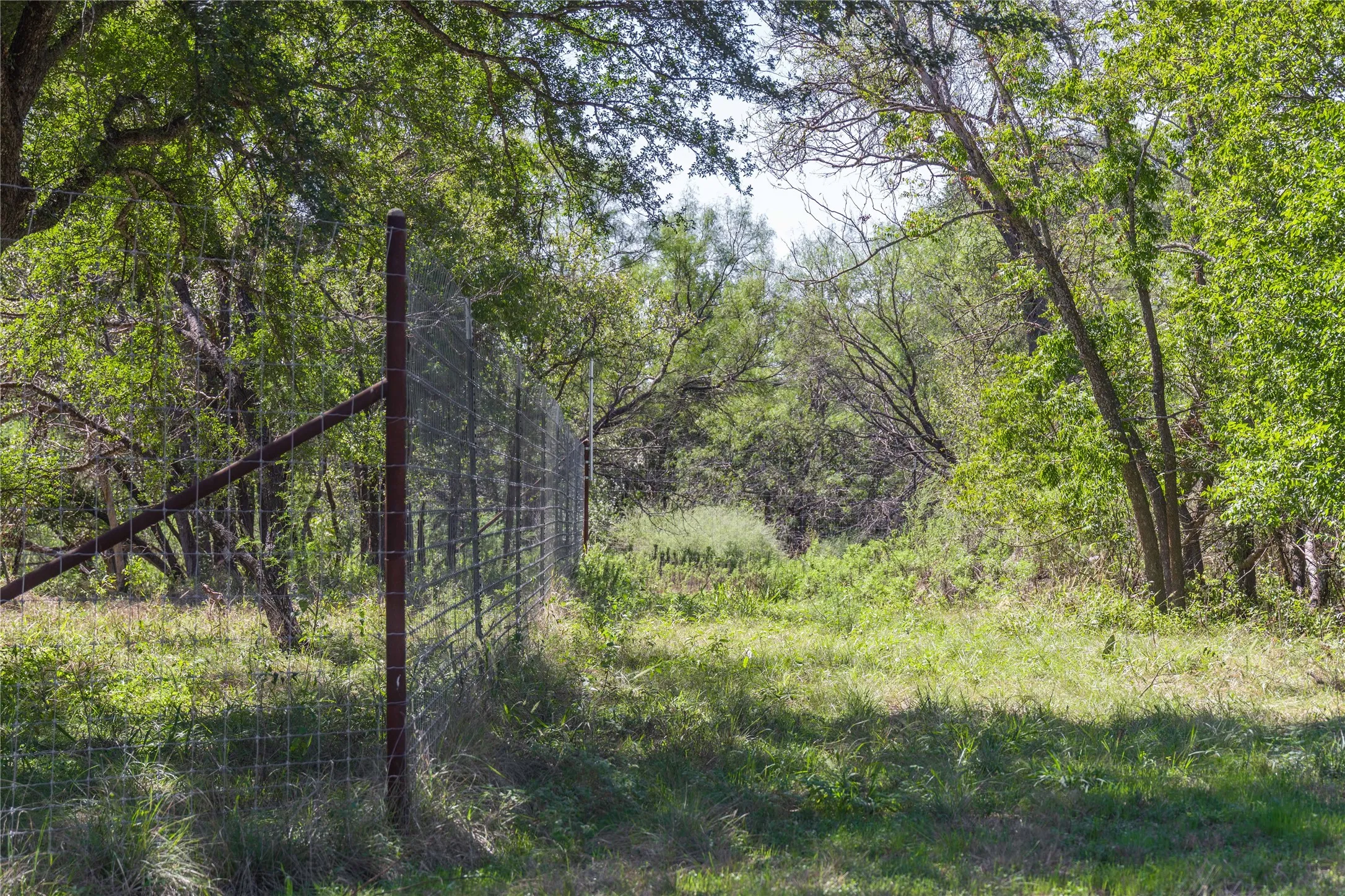 High game fence encloses the property
