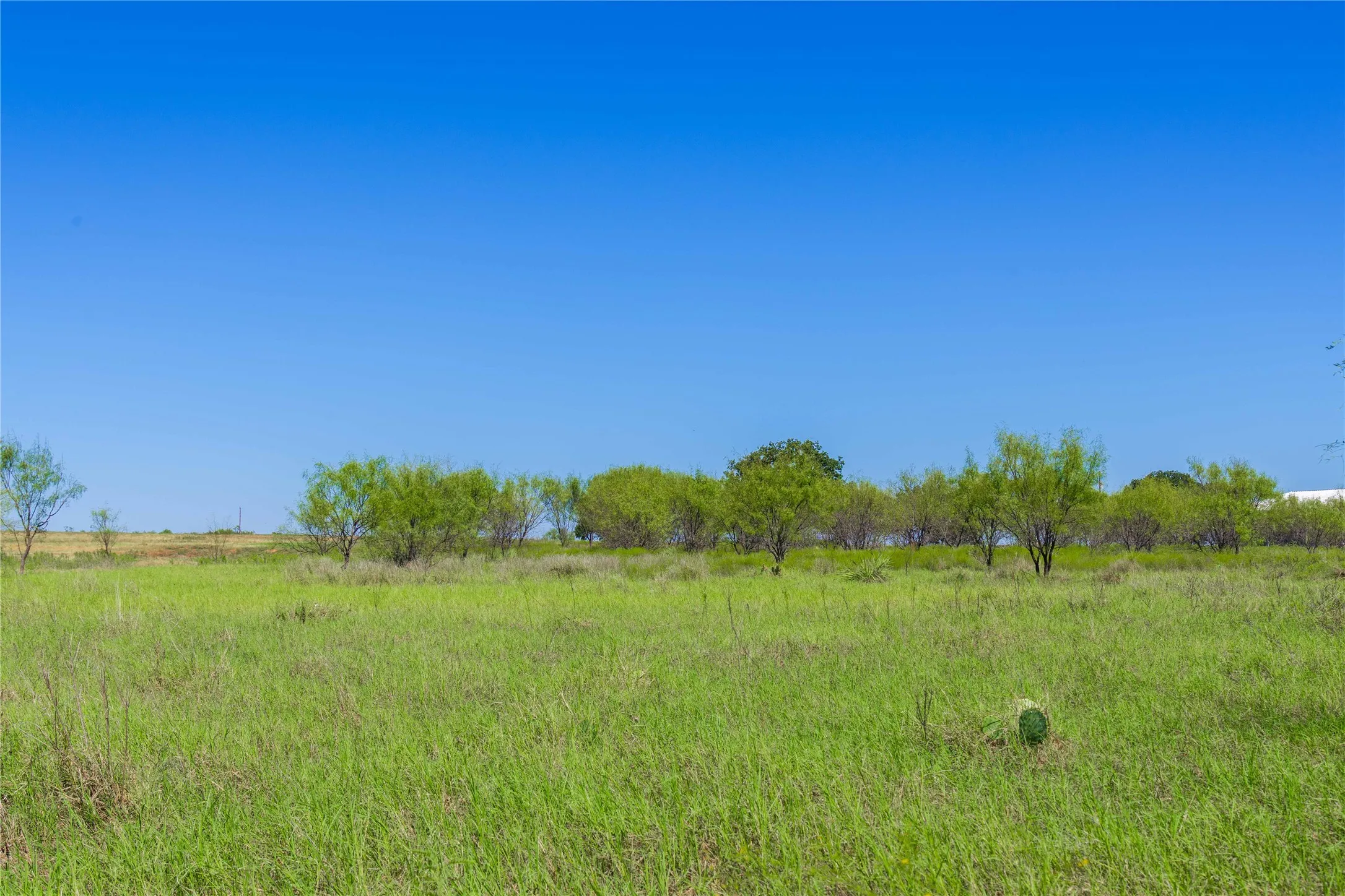 Improved Land For Sale in Mills County , 611 County Road 432, Mullin, Texas 76864, 0, 0, Garage spaces, 0 Sqft, built in 0, mls#21407557, Real Estate Agent in Mullin, Homes For Sale in Mills county, Homes For Sale in Mullin, Realtor in Mullin Texas, Real Estate Brokerage Independent Realty Texas, Luminita Cordes Realtor
