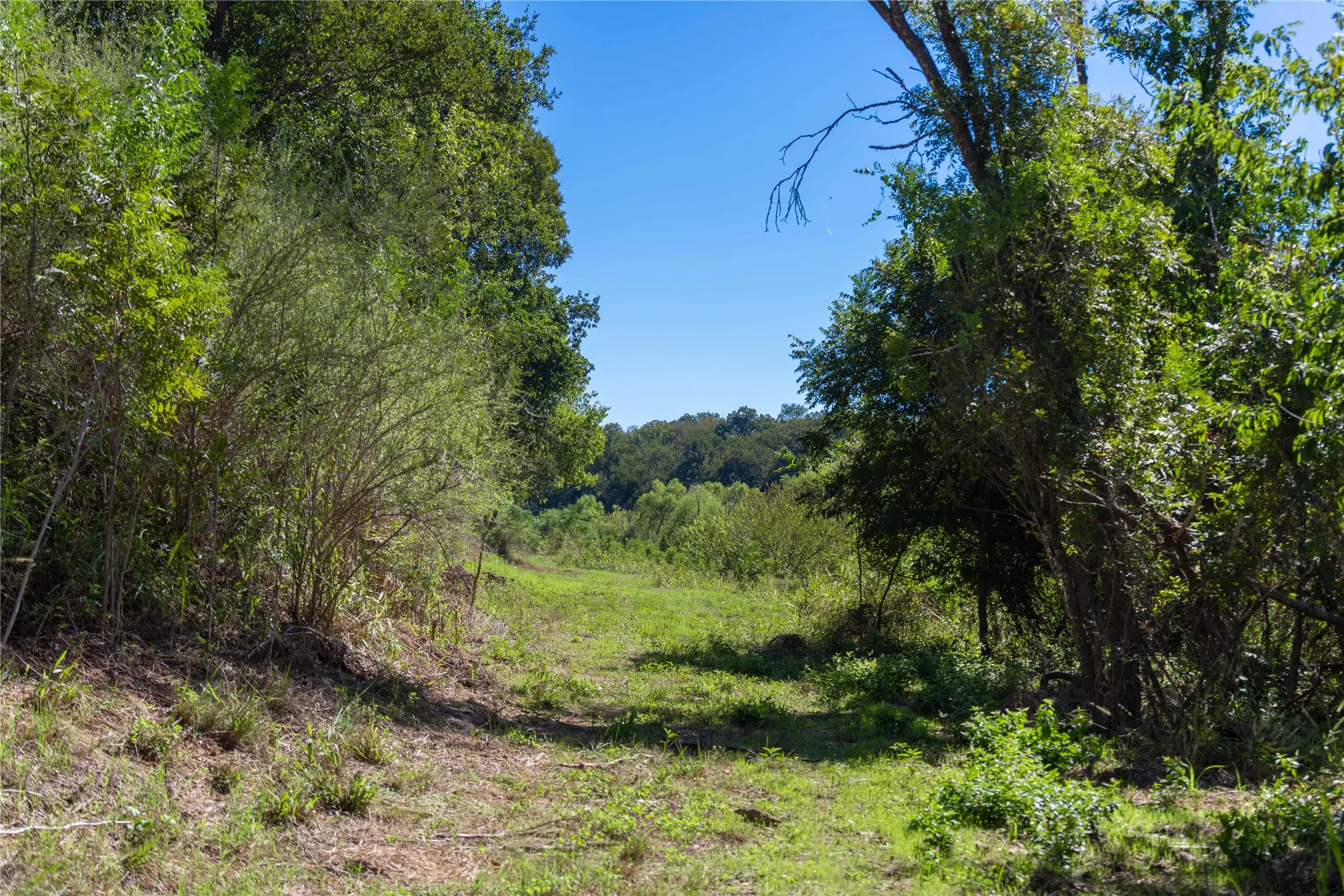 Improved Land For Sale in Mills County , 611 County Road 432, Mullin, Texas 76864, 0, 0, Garage spaces, 0 Sqft, built in 0, mls#21407557, Real Estate Agent in Mullin, Homes For Sale in Mills county, Homes For Sale in Mullin, Realtor in Mullin Texas, Real Estate Brokerage Independent Realty Texas, Luminita Cordes Realtor