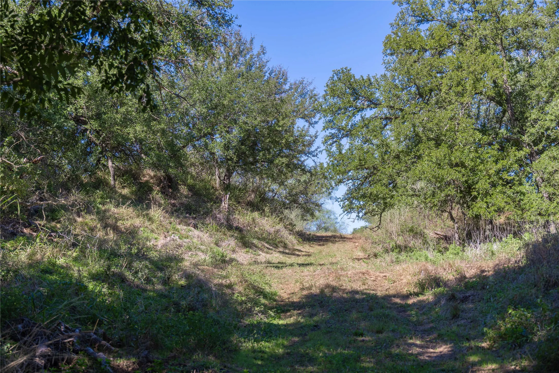 Improved Land For Sale in Mills County , 611 County Road 432, Mullin, Texas 76864, 0, 0, Garage spaces, 0 Sqft, built in 0, mls#21407557, Real Estate Agent in Mullin, Homes For Sale in Mills county, Homes For Sale in Mullin, Realtor in Mullin Texas, Real Estate Brokerage Independent Realty Texas, Luminita Cordes Realtor