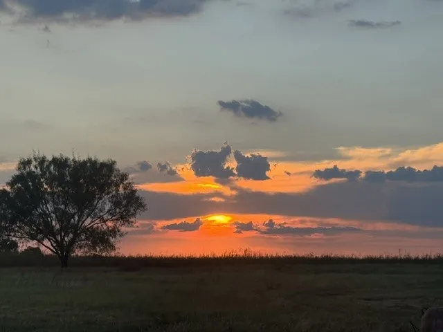 Amazing sunset at property