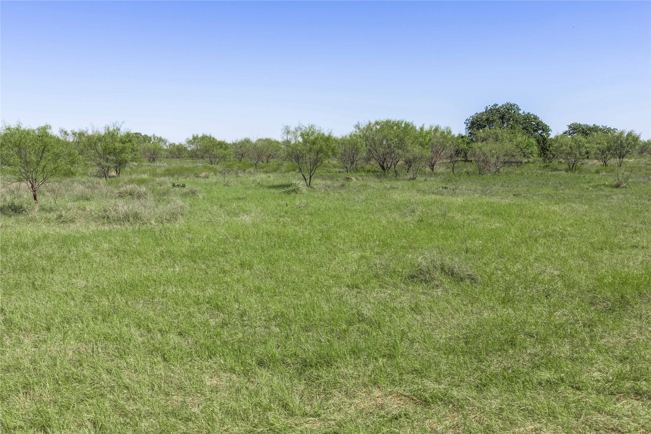 Improved Land For Sale in Mills County , 611 County Road 432, Mullin, Texas 76864, 0, 0, Garage spaces, 0 Sqft, built in 0, mls#21407557, Real Estate Agent in Mullin, Homes For Sale in Mills county, Homes For Sale in Mullin, Realtor in Mullin Texas, Real Estate Brokerage Independent Realty Texas, Luminita Cordes Realtor