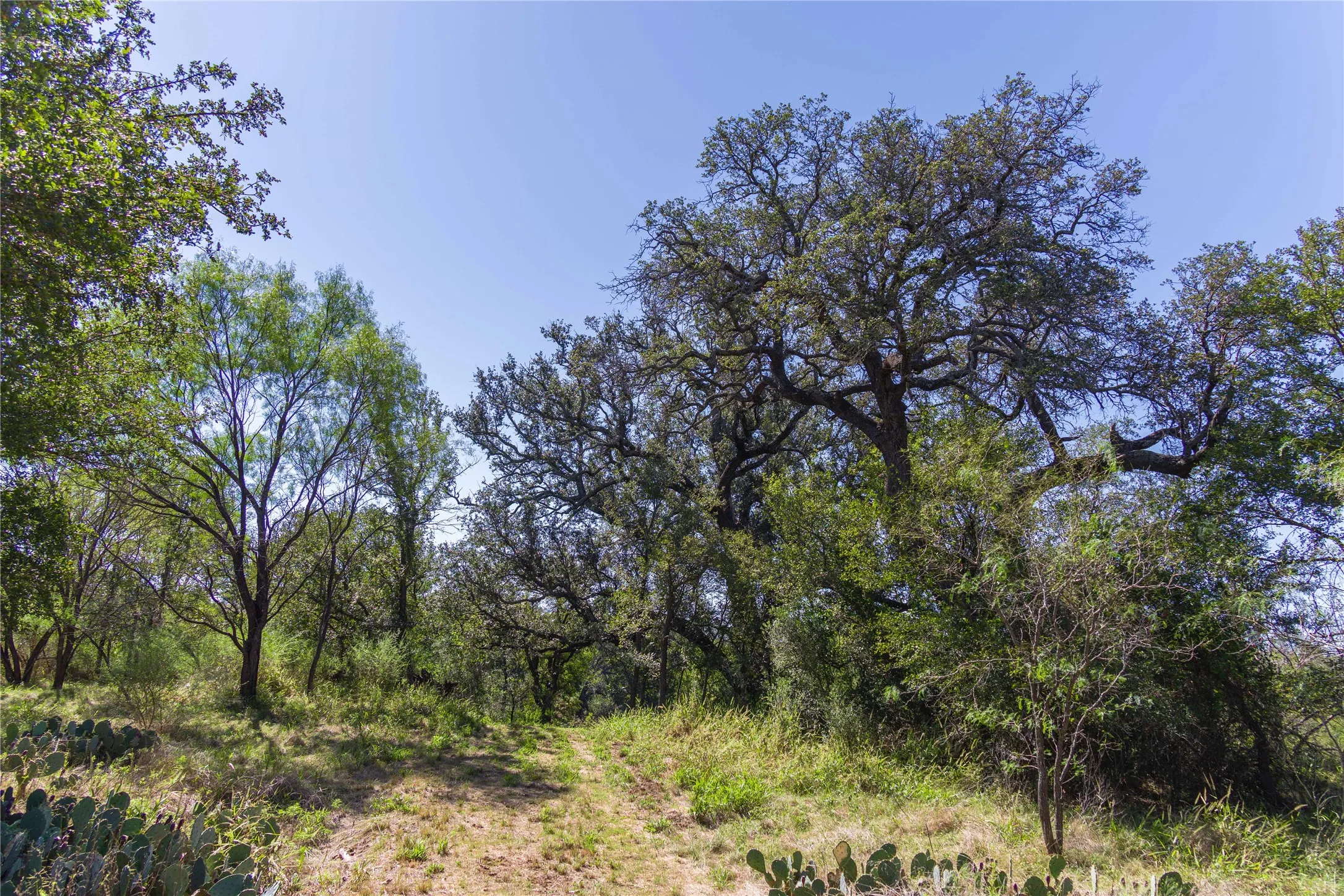 Improved Land For Sale in Mills County , 611 County Road 432, Mullin, Texas 76864, 0, 0, Garage spaces, 0 Sqft, built in 0, mls#21407557, Real Estate Agent in Mullin, Homes For Sale in Mills county, Homes For Sale in Mullin, Realtor in Mullin Texas, Real Estate Brokerage Independent Realty Texas, Luminita Cordes Realtor