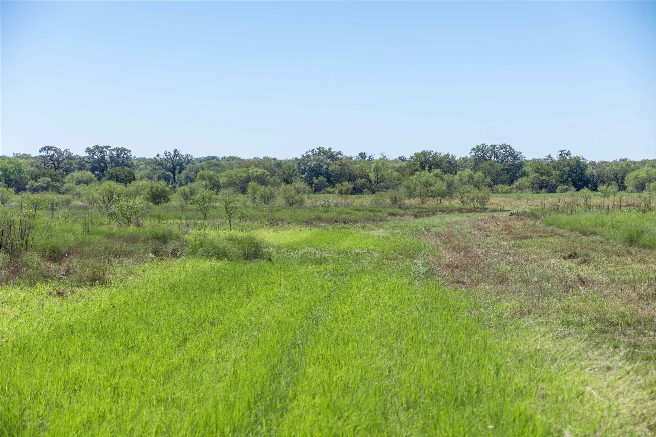 Improved Land For Sale in Mills County , 611 County Road 432, Mullin, Texas 76864, 0, 0, Garage spaces, 0 Sqft, built in 0, mls#21407557, Real Estate Agent in Mullin, Homes For Sale in Mills county, Homes For Sale in Mullin, Realtor in Mullin Texas, Real Estate Brokerage Independent Realty Texas, Luminita Cordes Realtor