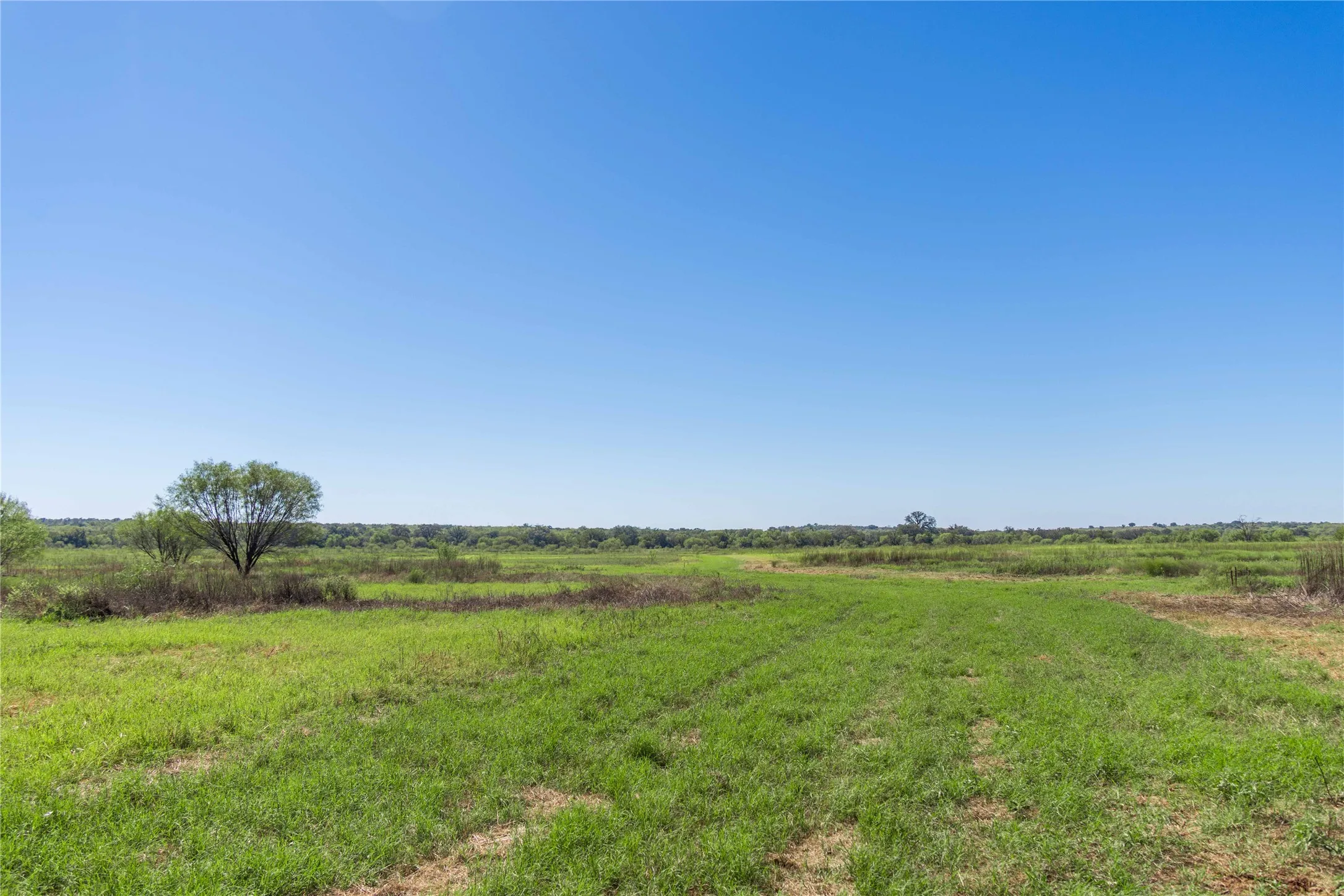 Improved Land For Sale in Mills County , 611 County Road 432, Mullin, Texas 76864, 0, 0, Garage spaces, 0 Sqft, built in 0, mls#21407557, Real Estate Agent in Mullin, Homes For Sale in Mills county, Homes For Sale in Mullin, Realtor in Mullin Texas, Real Estate Brokerage Independent Realty Texas, Luminita Cordes Realtor
