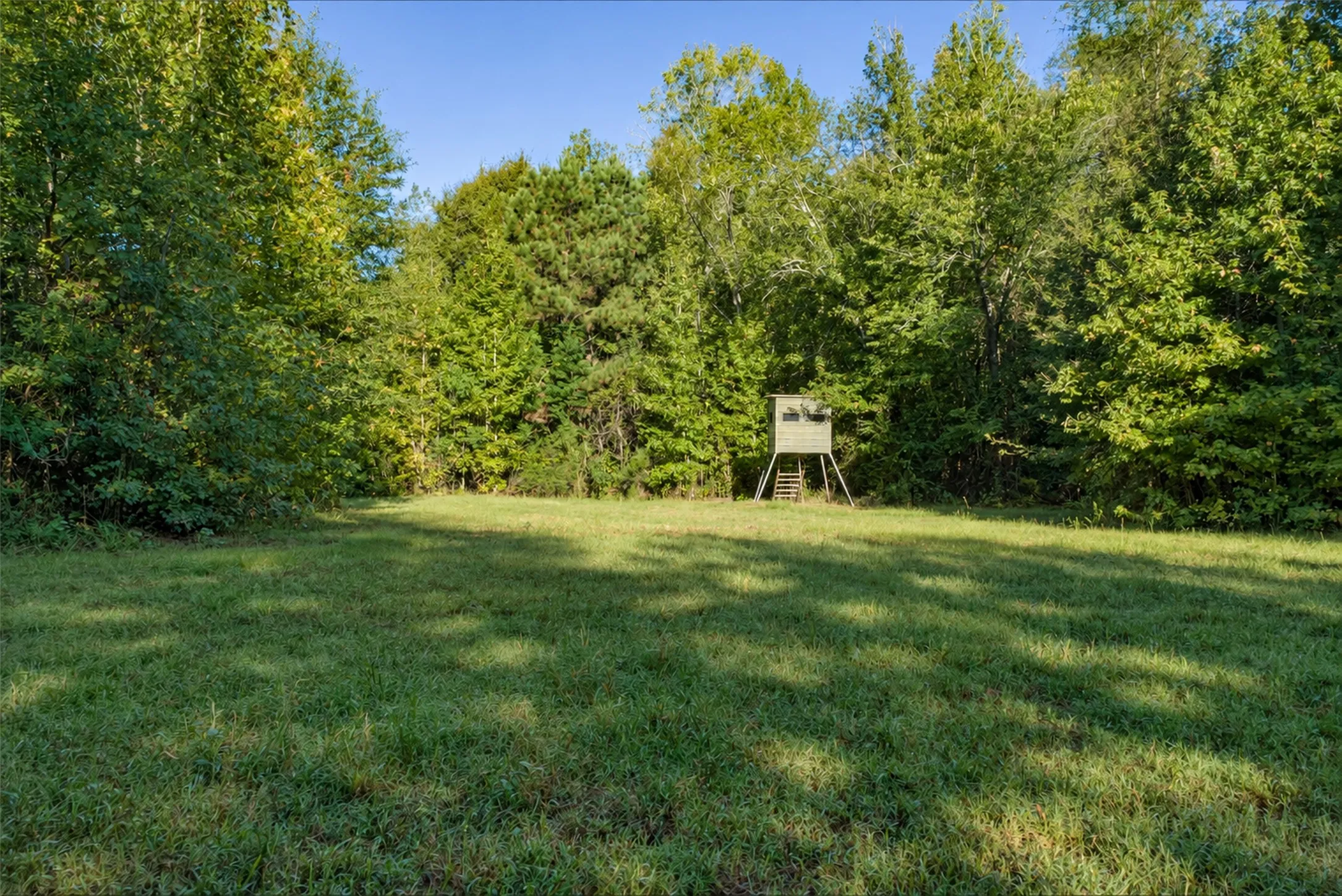 Ranch For Sale in Panola County , 289 county road 1631, Long Branch, Texas 75669, 0, 0, Garage spaces, 0 Sqft, built in 2020, mls#21408804, Real Estate Agent in Long Branch, Homes For Sale in Panola county, Homes For Sale in Long Branch, Realtor in Long Branch Texas, Real Estate Brokerage Independent Realty Texas, Luminita Cordes Realtor