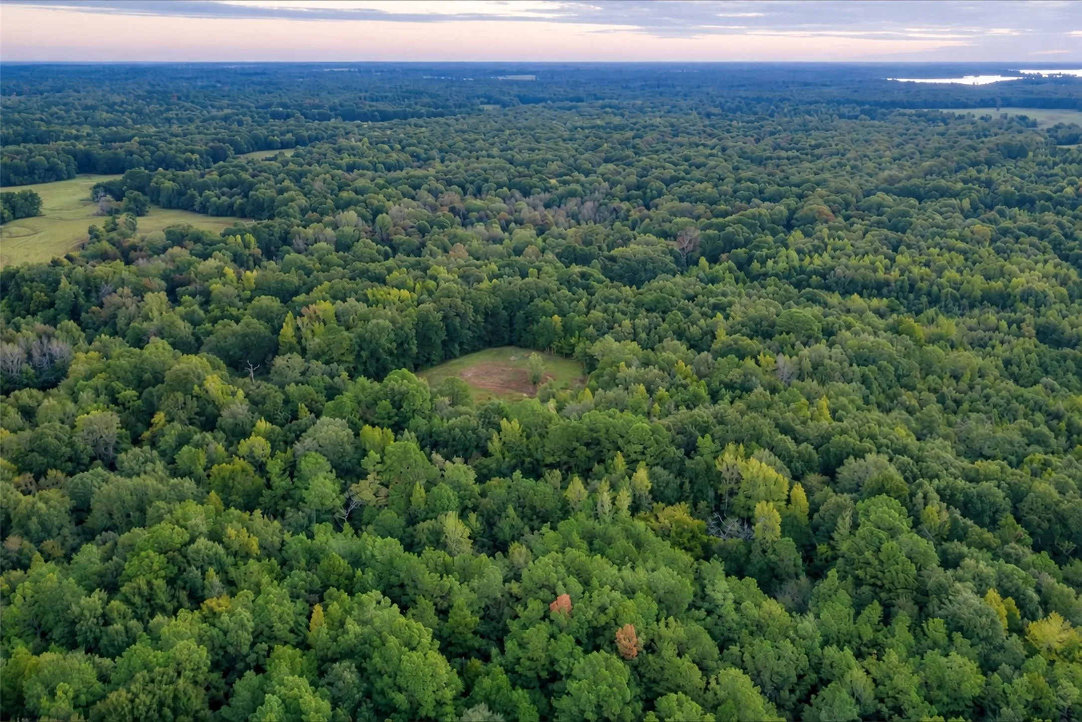 Ranch For Sale in Panola County , 289 county road 1631, Long Branch, Texas 75669, 0, 0, Garage spaces, 0 Sqft, built in 2020, mls#21408804, Real Estate Agent in Long Branch, Homes For Sale in Panola county, Homes For Sale in Long Branch, Realtor in Long Branch Texas, Real Estate Brokerage Independent Realty Texas, Luminita Cordes Realtor