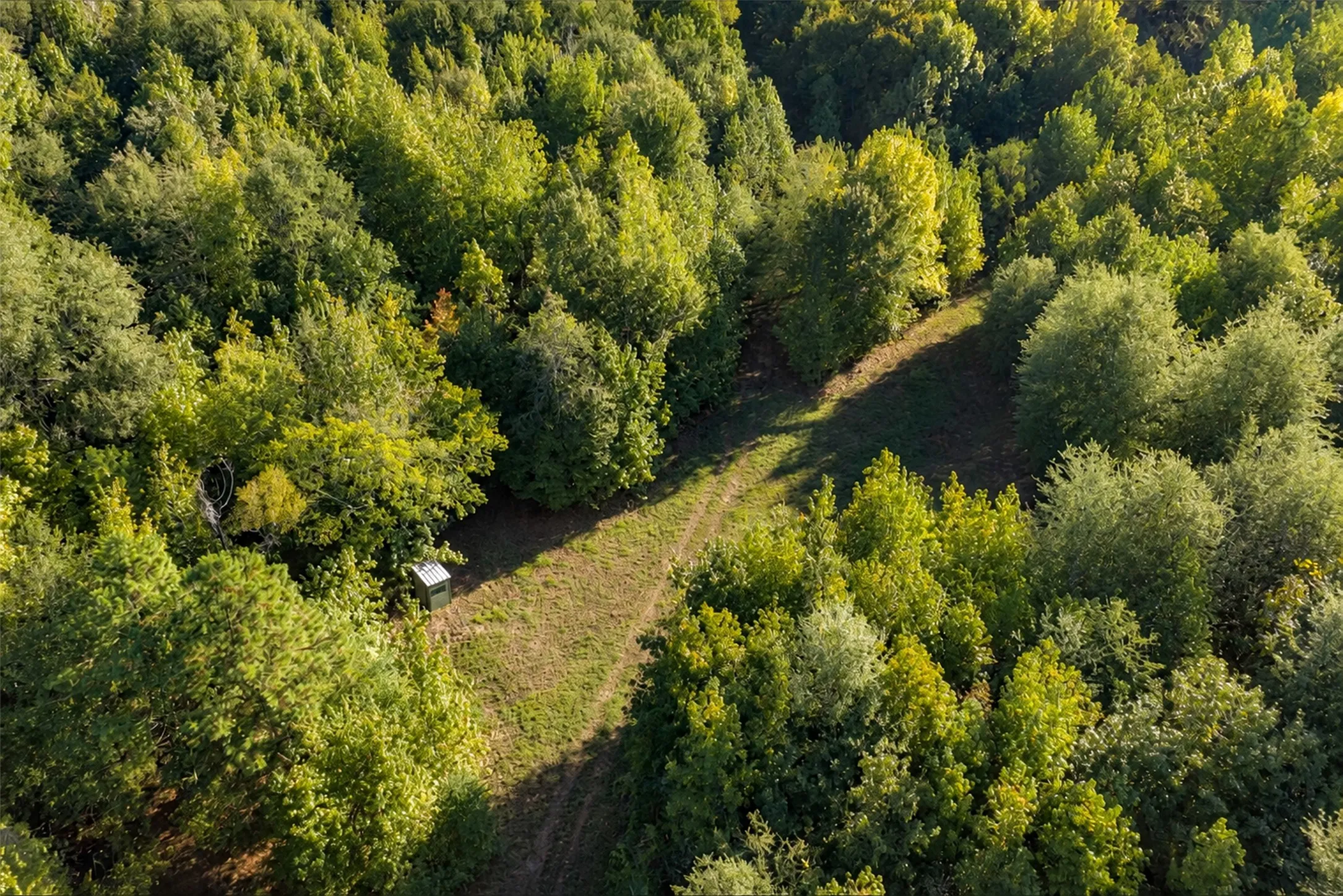 Ranch For Sale in Panola County , 289 county road 1631, Long Branch, Texas 75669, 0, 0, Garage spaces, 0 Sqft, built in 2020, mls#21408804, Real Estate Agent in Long Branch, Homes For Sale in Panola county, Homes For Sale in Long Branch, Realtor in Long Branch Texas, Real Estate Brokerage Independent Realty Texas, Luminita Cordes Realtor