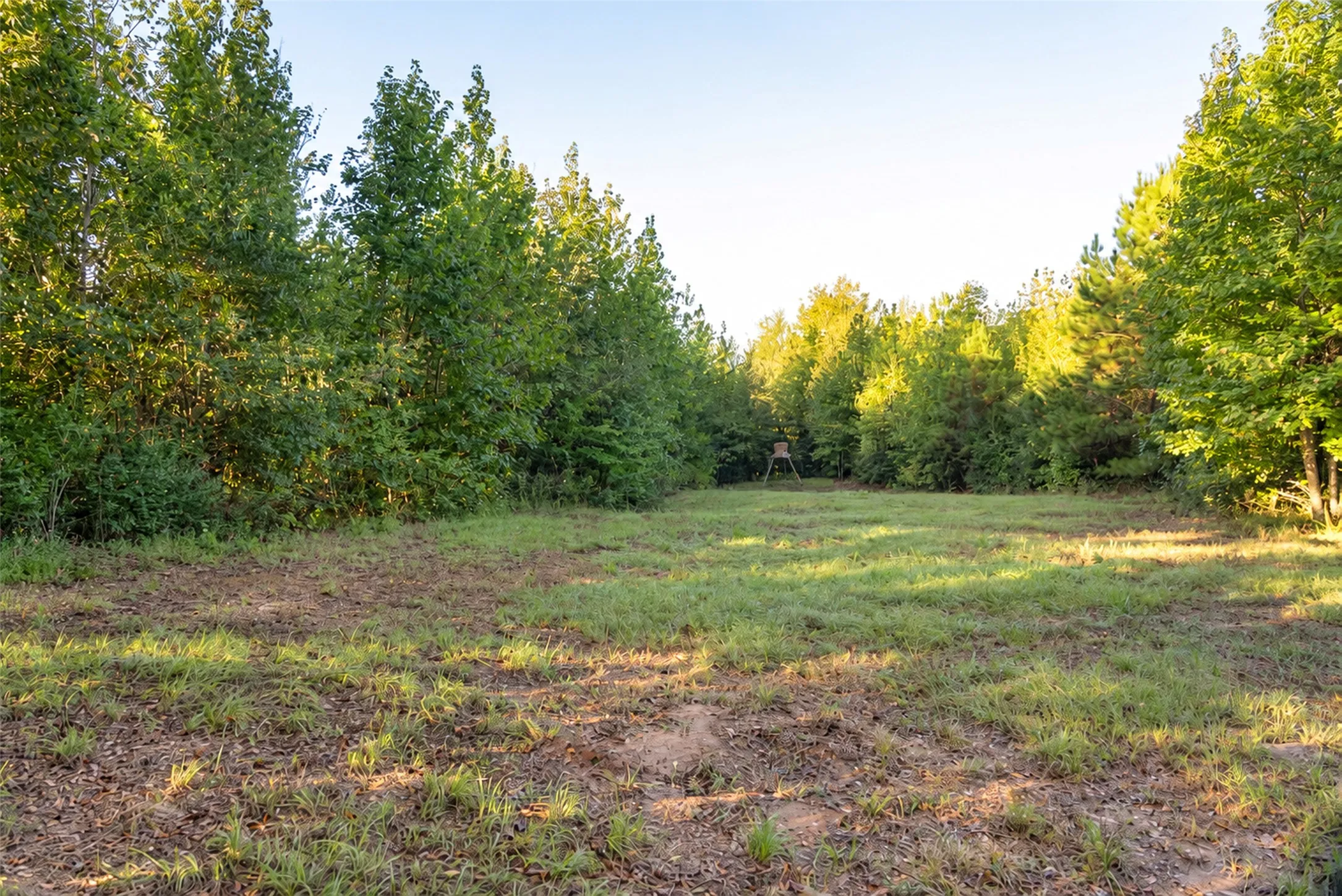 Ranch For Sale in Panola County , 289 county road 1631, Long Branch, Texas 75669, 0, 0, Garage spaces, 0 Sqft, built in 2020, mls#21408804, Real Estate Agent in Long Branch, Homes For Sale in Panola county, Homes For Sale in Long Branch, Realtor in Long Branch Texas, Real Estate Brokerage Independent Realty Texas, Luminita Cordes Realtor