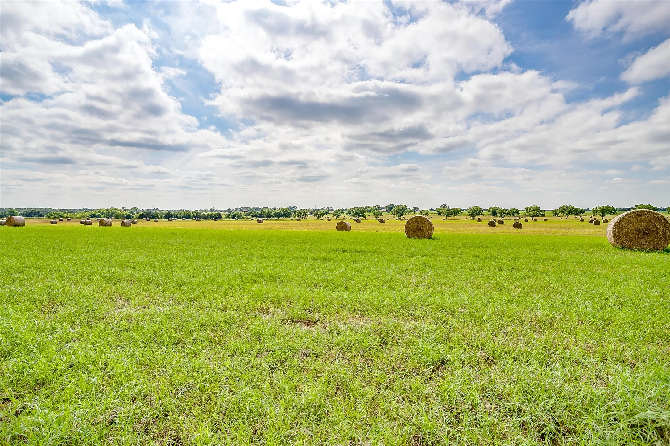 Unimproved Land For Sale in Montague County , Lot 1 TBD Orchard Road, Bowie, Texas 76230, 0, 0, Garage spaces, 0 Sqft, built in 0, mls#21408806, Real Estate Agent in Bowie, Homes For Sale in Montague county, Homes For Sale in Bowie, Realtor in Bowie Texas, Real Estate Brokerage Independent Realty Texas, Luminita Cordes Realtor