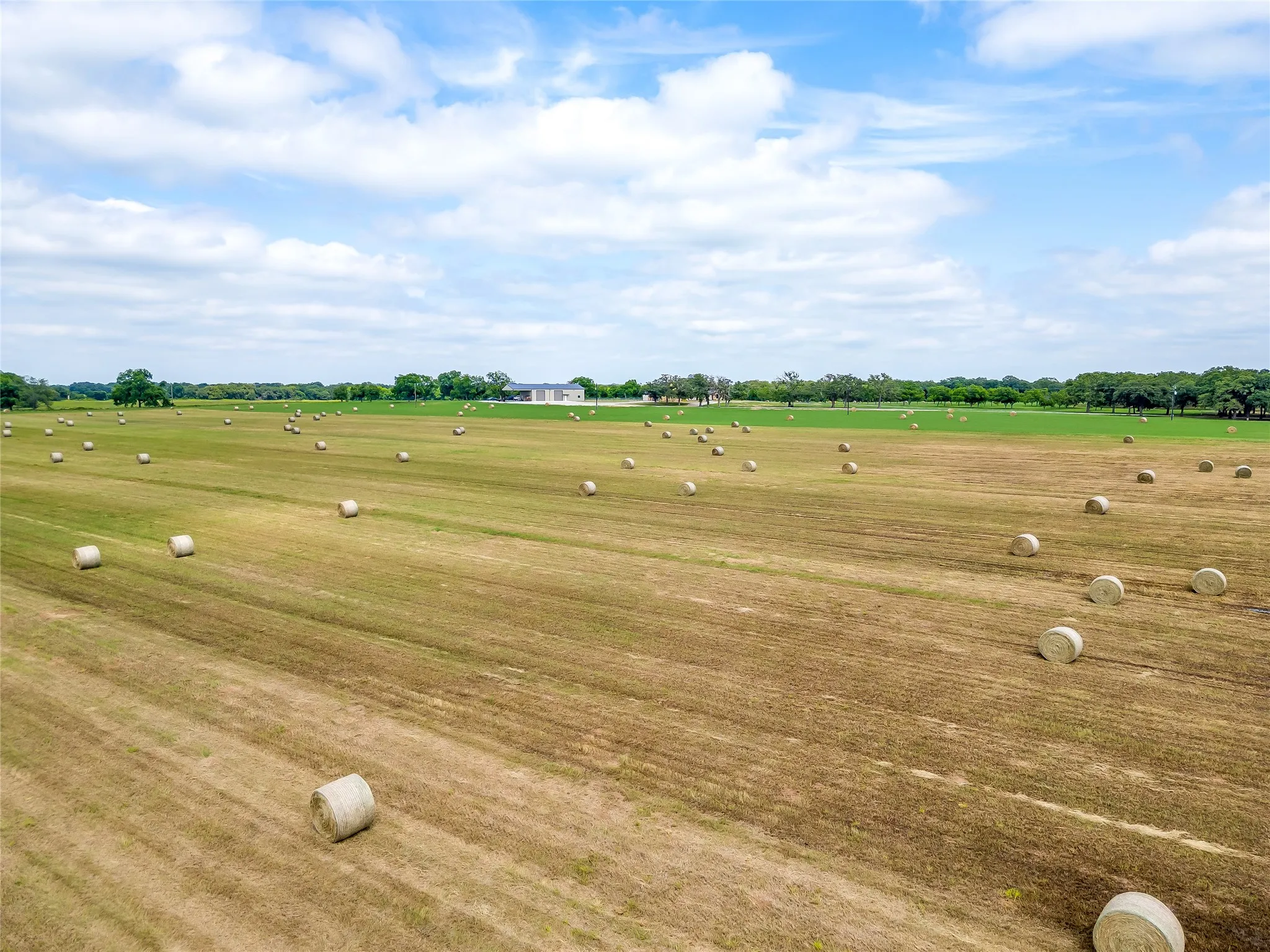 Unimproved Land For Sale in Montague County , Lot 1 TBD Orchard Road, Bowie, Texas 76230, 0, 0, Garage spaces, 0 Sqft, built in 0, mls#21408806, Real Estate Agent in Bowie, Homes For Sale in Montague county, Homes For Sale in Bowie, Realtor in Bowie Texas, Real Estate Brokerage Independent Realty Texas, Luminita Cordes Realtor