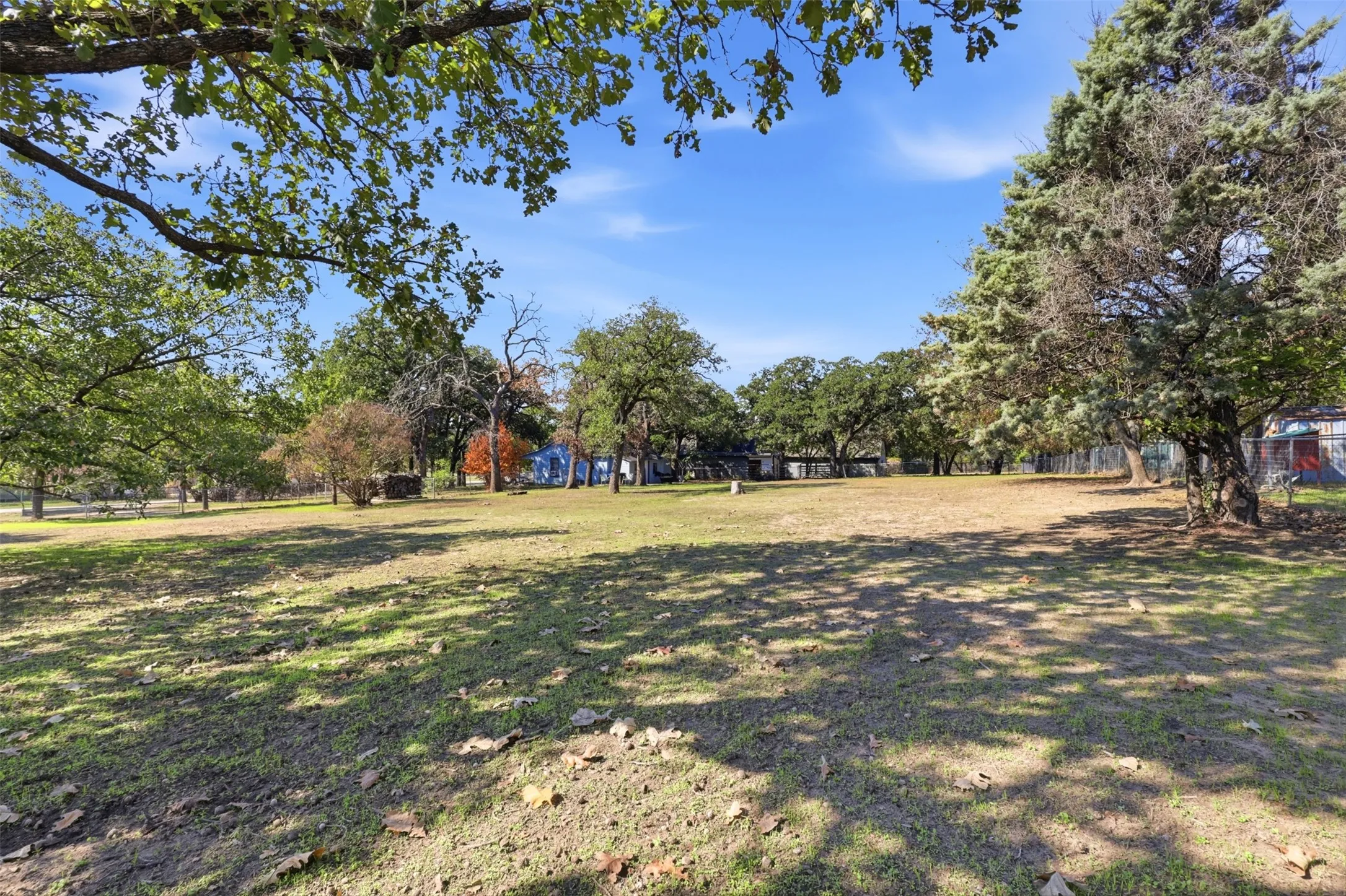 Expansive open lot with mature trees and natural ground cover