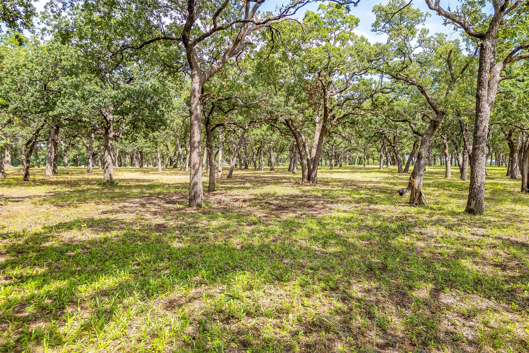 Unimproved Land For Sale in Montague County , Lot 4 TBD Orchard Road, Bowie, Texas 76230, 0, 0, Garage spaces, 0 Sqft, built in 0, mls#21408822, Real Estate Agent in Bowie, Homes For Sale in Montague county, Homes For Sale in Bowie, Realtor in Bowie Texas, Real Estate Brokerage Independent Realty Texas, Luminita Cordes Realtor