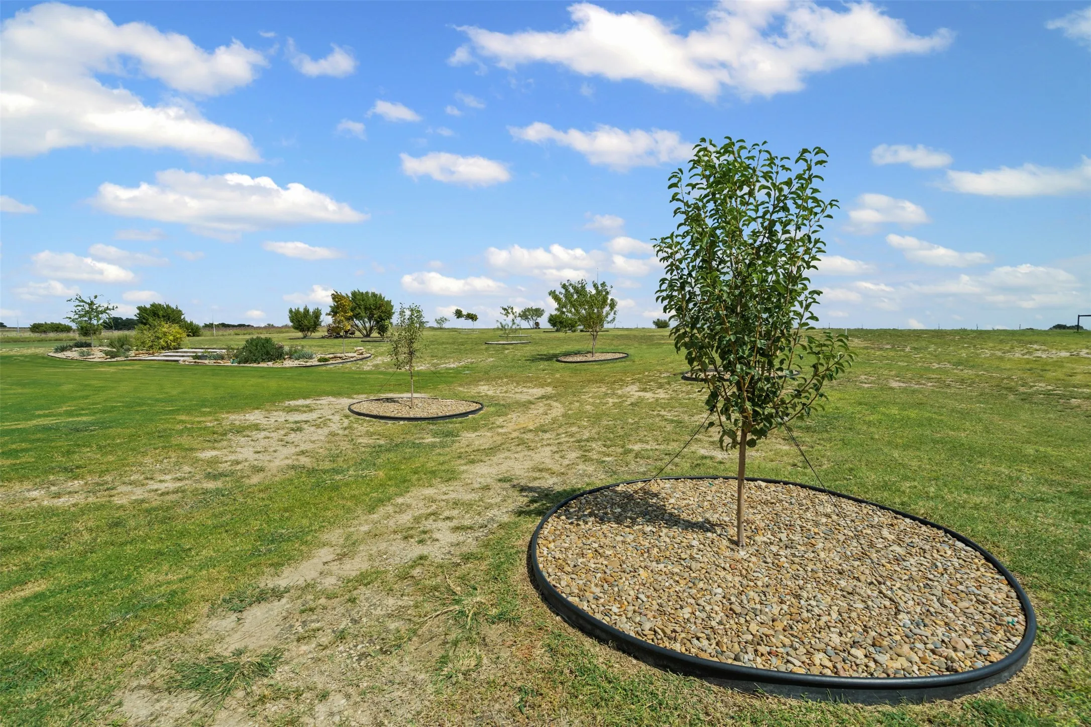 Single Family Residence For Sale in Parker County , 2045 Eagles Ridge Drive, Weatherford, Texas 76087, 4 Bedroom, 4 Bathroom, 3 Garage spaces, 3,000 Sqft, built in 2021, mls#21406274, Real Estate Agent in Weatherford, Homes For Sale in Parker county, Homes For Sale in Weatherford, Realtor in Weatherford Texas, Real Estate Brokerage Independent Realty Texas, Luminita Cordes Realtor