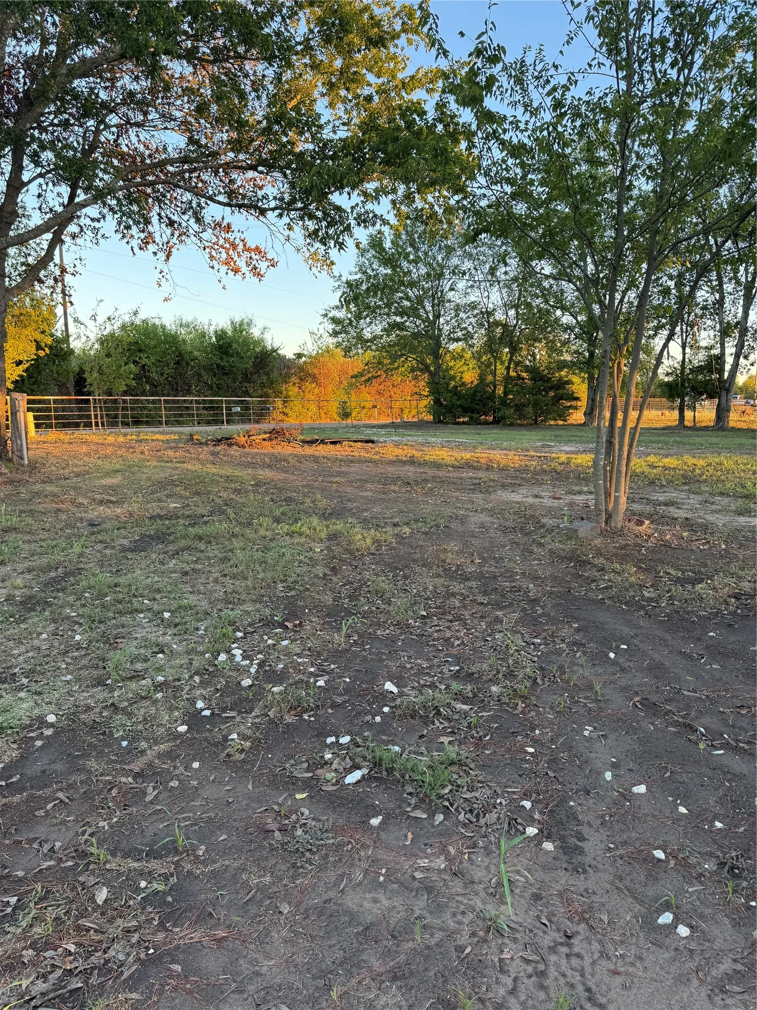 Expansive outdoor space featuring mature trees and a perimeter fence