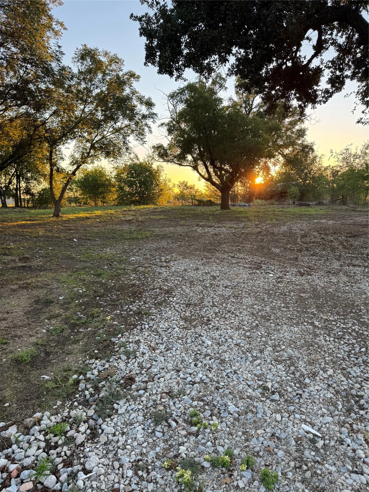 Expansive lot featuring mature trees and a gravel surface