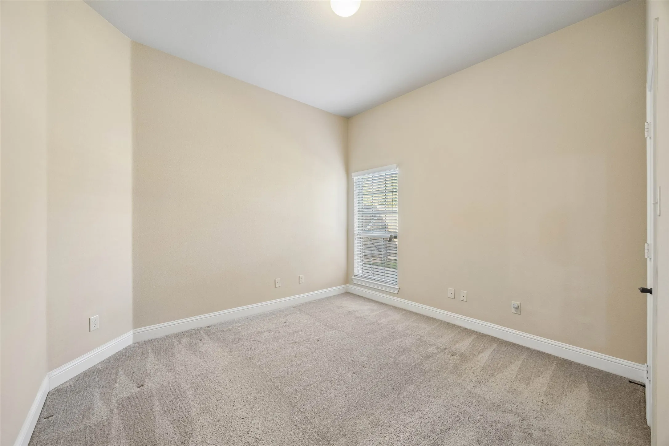 Secondary bedroom with carpet and walk in closet