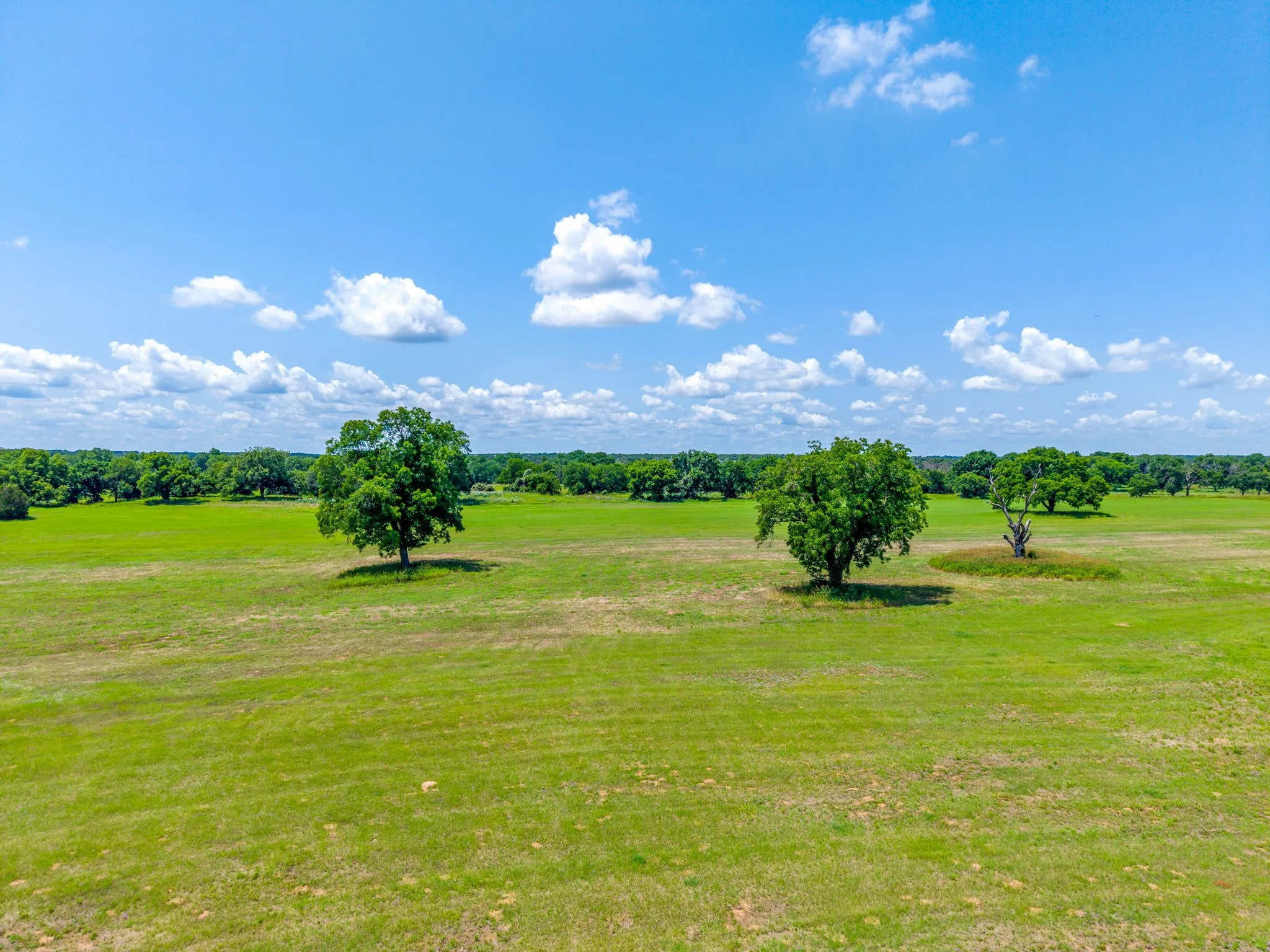 Unimproved Land For Sale in Parker County , TBD Tidwell Road, Weatherford, Texas 76087, 0, 0, Garage spaces, 0 Sqft, built in 0, mls#21407067, Real Estate Agent in Weatherford, Homes For Sale in Parker county, Homes For Sale in Weatherford, Realtor in Weatherford Texas, Real Estate Brokerage Independent Realty Texas, Luminita Cordes Realtor
