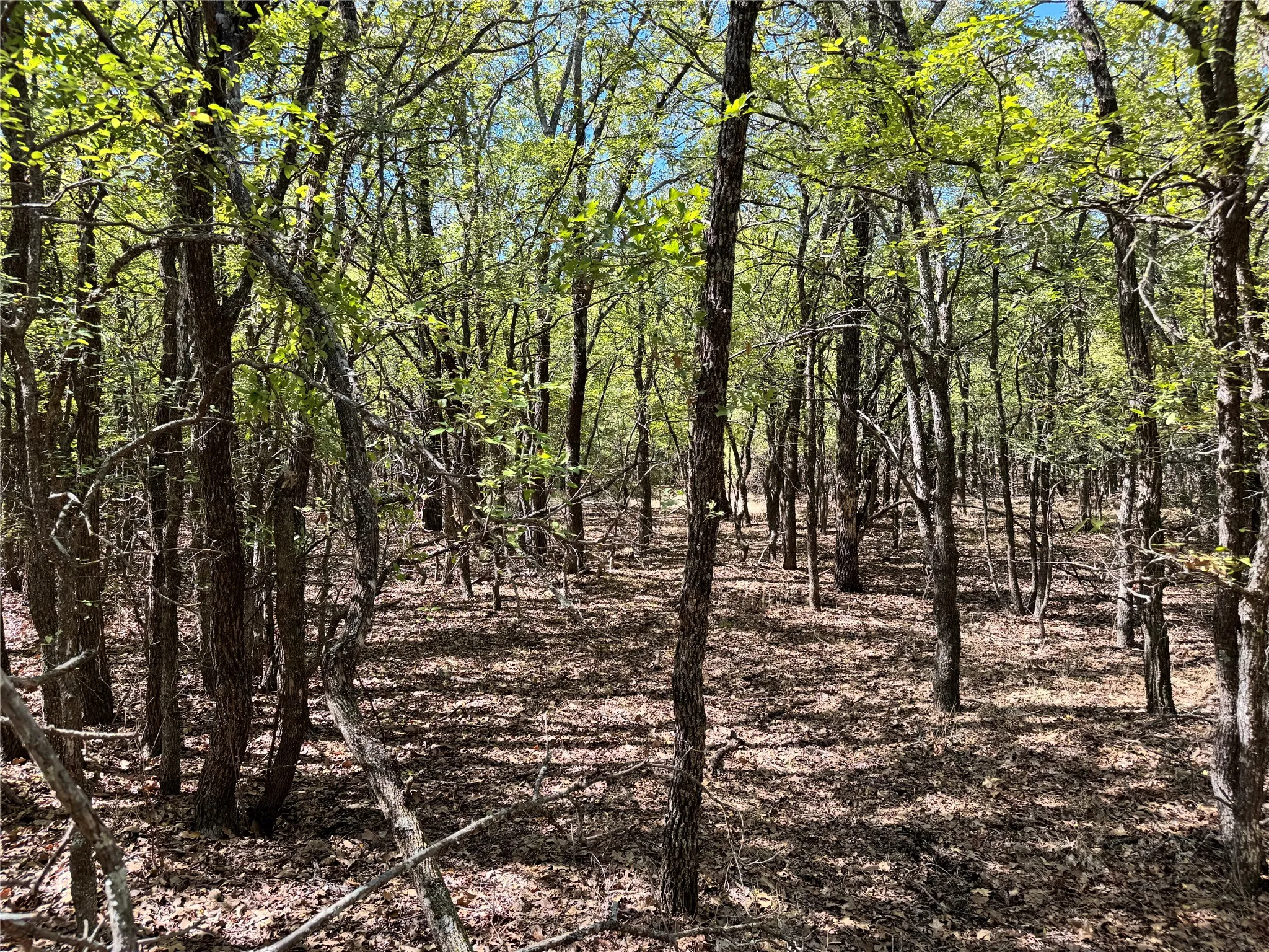 Unimproved Land For Sale in Hood County , 3711 Bob White Court, Granbury, Texas 76049, 0, 0, Garage spaces, 0 Sqft, built in 0, mls#21408508, Real Estate Agent in Granbury, Homes For Sale in Hood county, Homes For Sale in Granbury, Realtor in Granbury Texas, Real Estate Brokerage Independent Realty Texas, Luminita Cordes Realtor