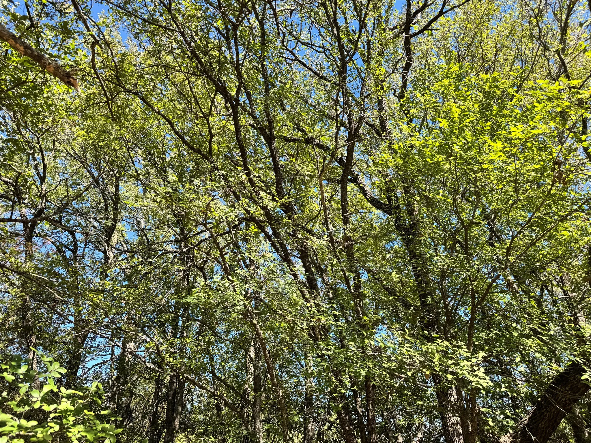 Unimproved Land For Sale in Hood County , 3711 Bob White Court, Granbury, Texas 76049, 0, 0, Garage spaces, 0 Sqft, built in 0, mls#21408508, Real Estate Agent in Granbury, Homes For Sale in Hood county, Homes For Sale in Granbury, Realtor in Granbury Texas, Real Estate Brokerage Independent Realty Texas, Luminita Cordes Realtor