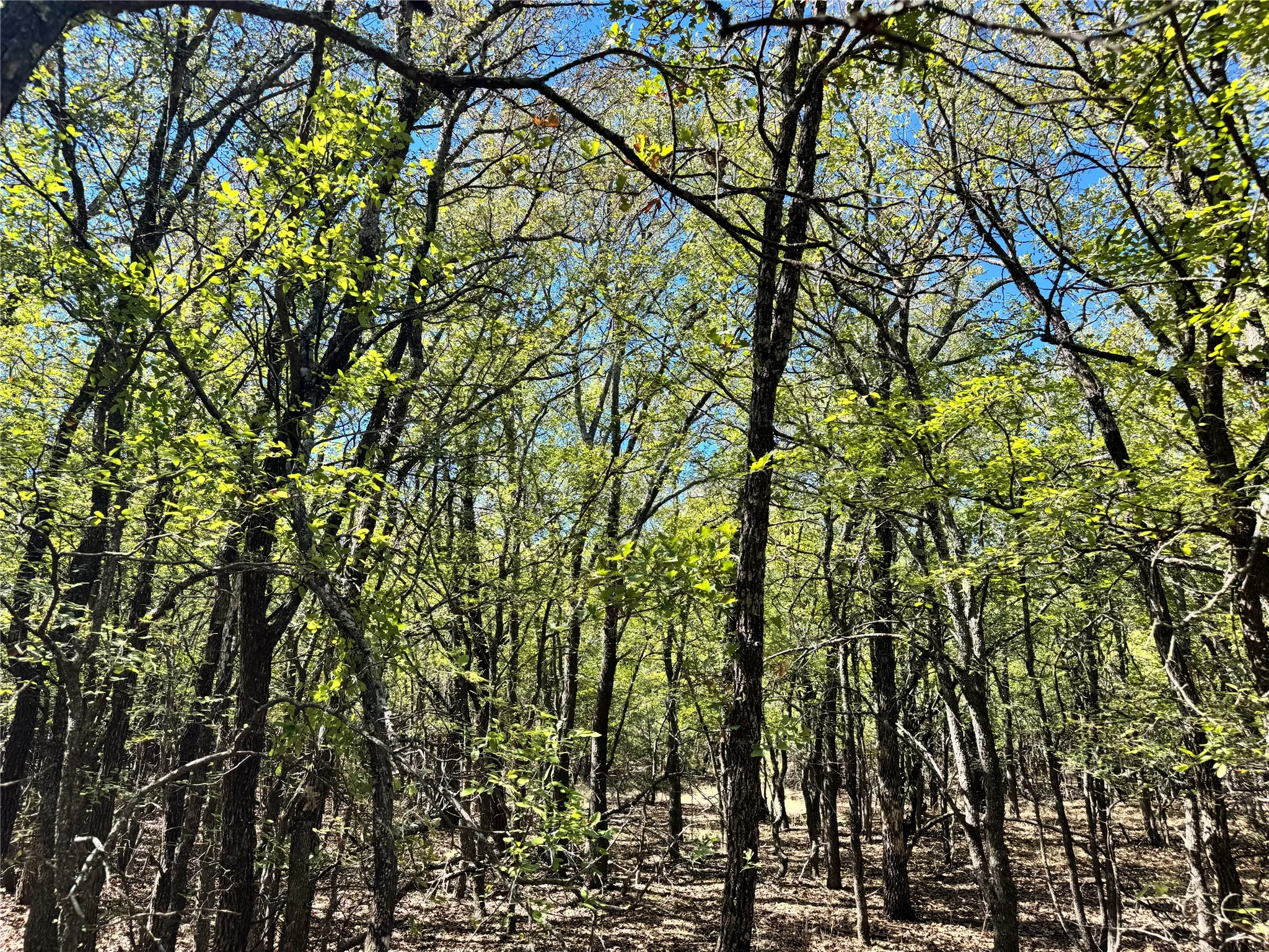 Unimproved Land For Sale in Hood County , 3711 Bob White Court, Granbury, Texas 76049, 0, 0, Garage spaces, 0 Sqft, built in 0, mls#21408508, Real Estate Agent in Granbury, Homes For Sale in Hood county, Homes For Sale in Granbury, Realtor in Granbury Texas, Real Estate Brokerage Independent Realty Texas, Luminita Cordes Realtor