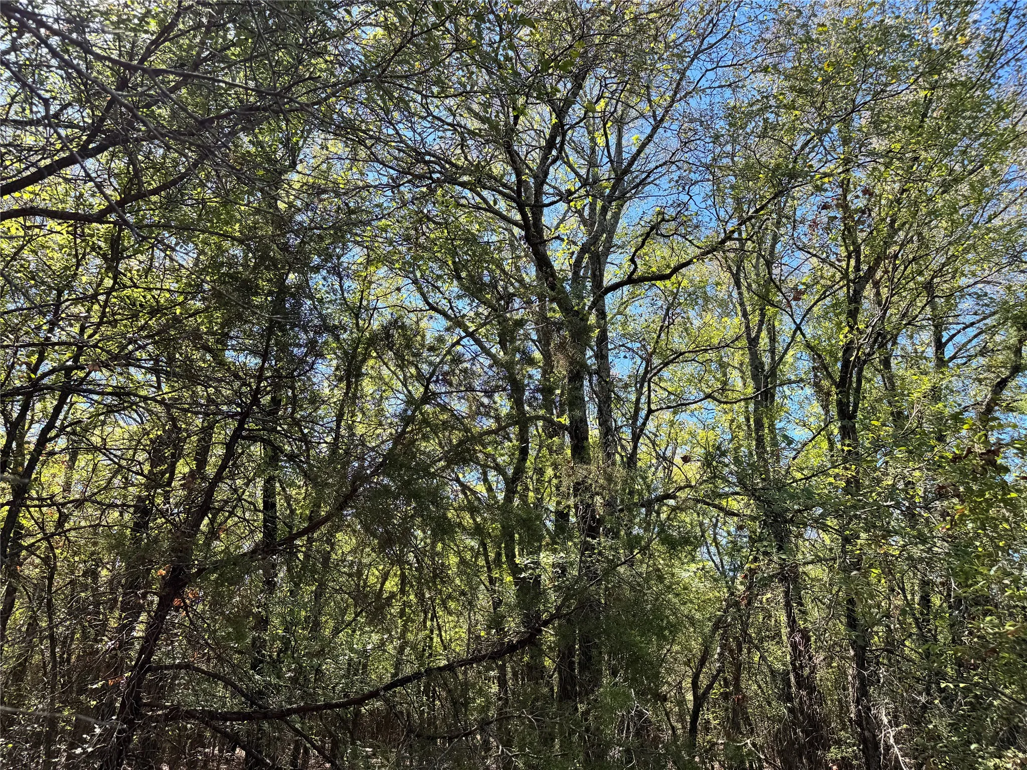 Unimproved Land For Sale in Hood County , 3711 Bob White Court, Granbury, Texas 76049, 0, 0, Garage spaces, 0 Sqft, built in 0, mls#21408508, Real Estate Agent in Granbury, Homes For Sale in Hood county, Homes For Sale in Granbury, Realtor in Granbury Texas, Real Estate Brokerage Independent Realty Texas, Luminita Cordes Realtor