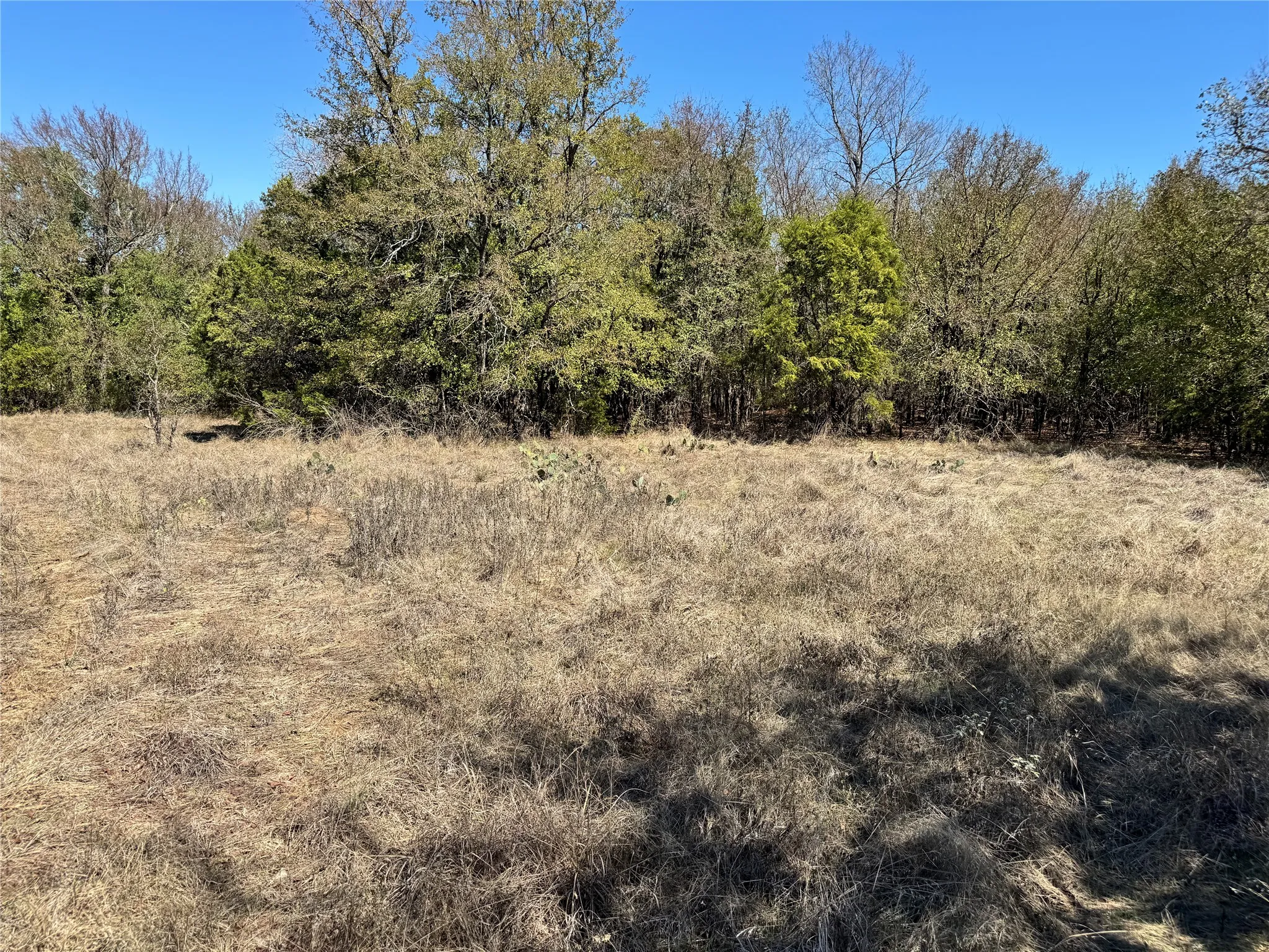 Unimproved Land For Sale in Hood County , 3711 Bob White Court, Granbury, Texas 76049, 0, 0, Garage spaces, 0 Sqft, built in 0, mls#21408508, Real Estate Agent in Granbury, Homes For Sale in Hood county, Homes For Sale in Granbury, Realtor in Granbury Texas, Real Estate Brokerage Independent Realty Texas, Luminita Cordes Realtor